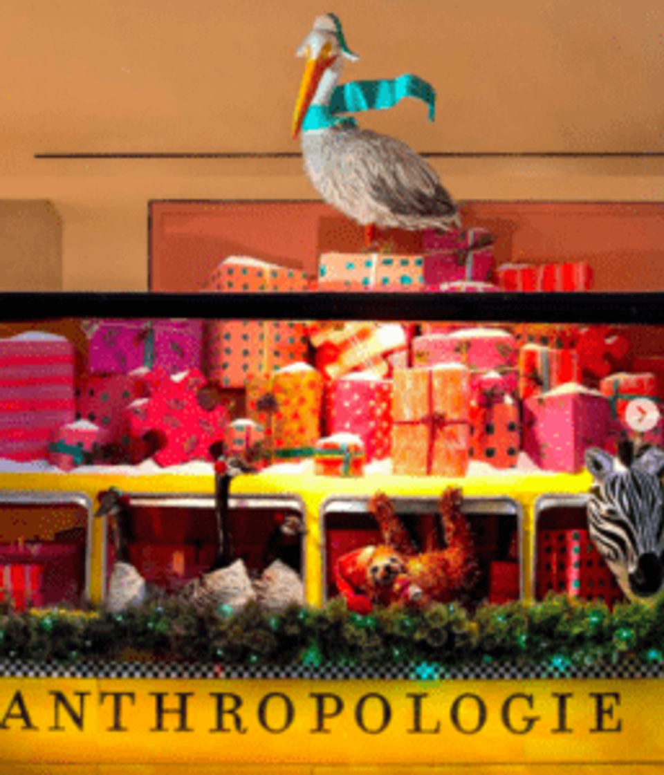anthropologie_img
