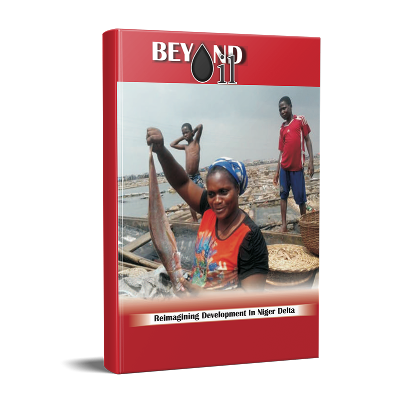 Beyond Oil: Reimagining Development in Niger Delta cover
