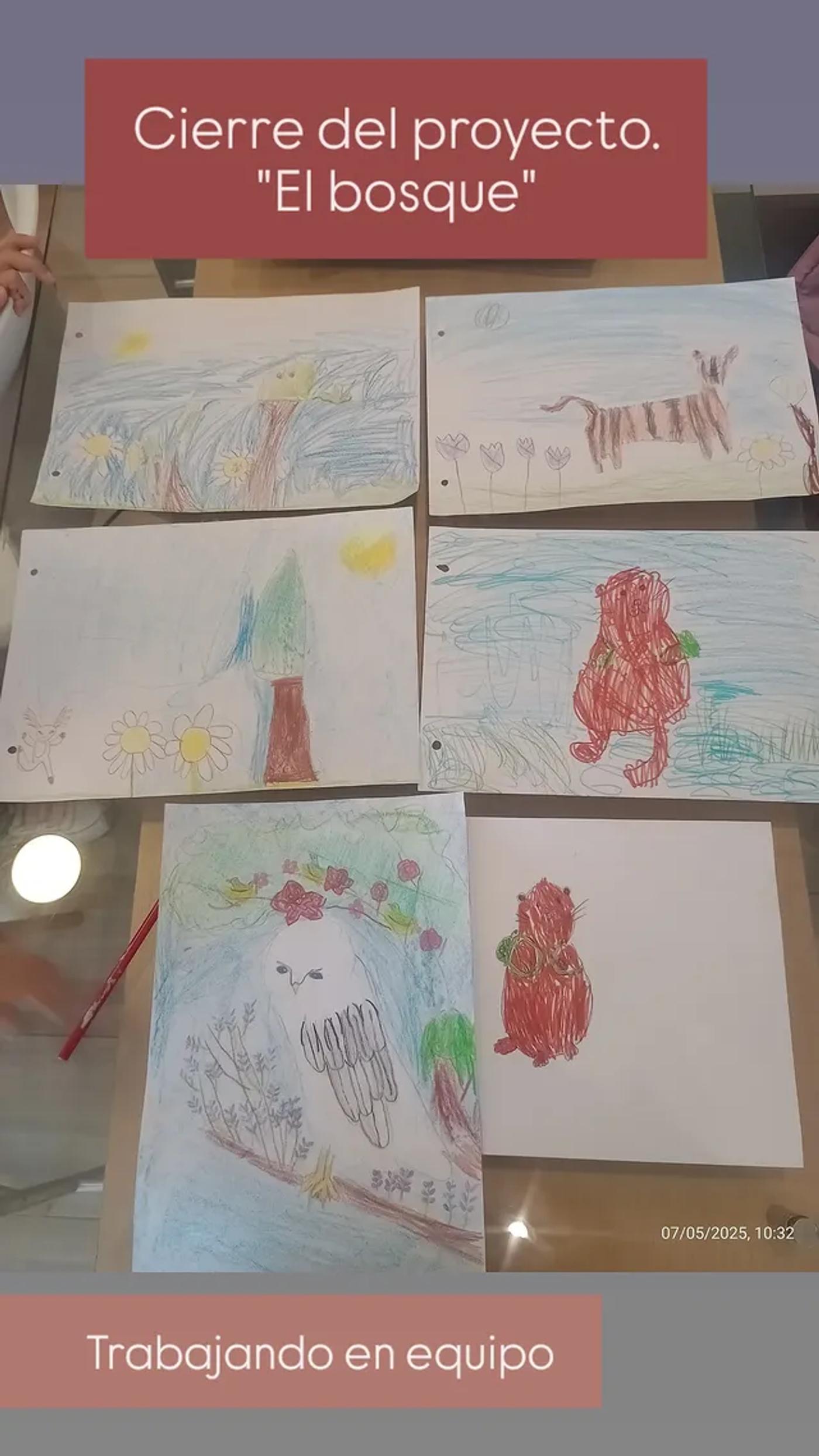 515040333 18017562857772426 867488495786173812 n