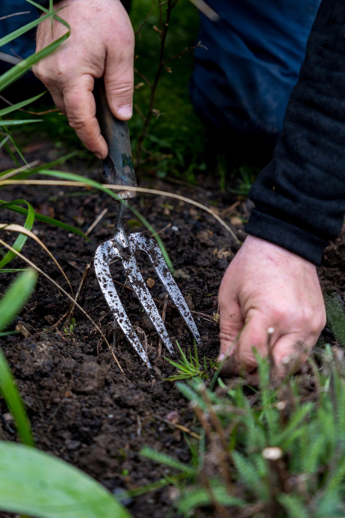 Autumn Garden Checklist: Getting Ready for a Scottish Winter