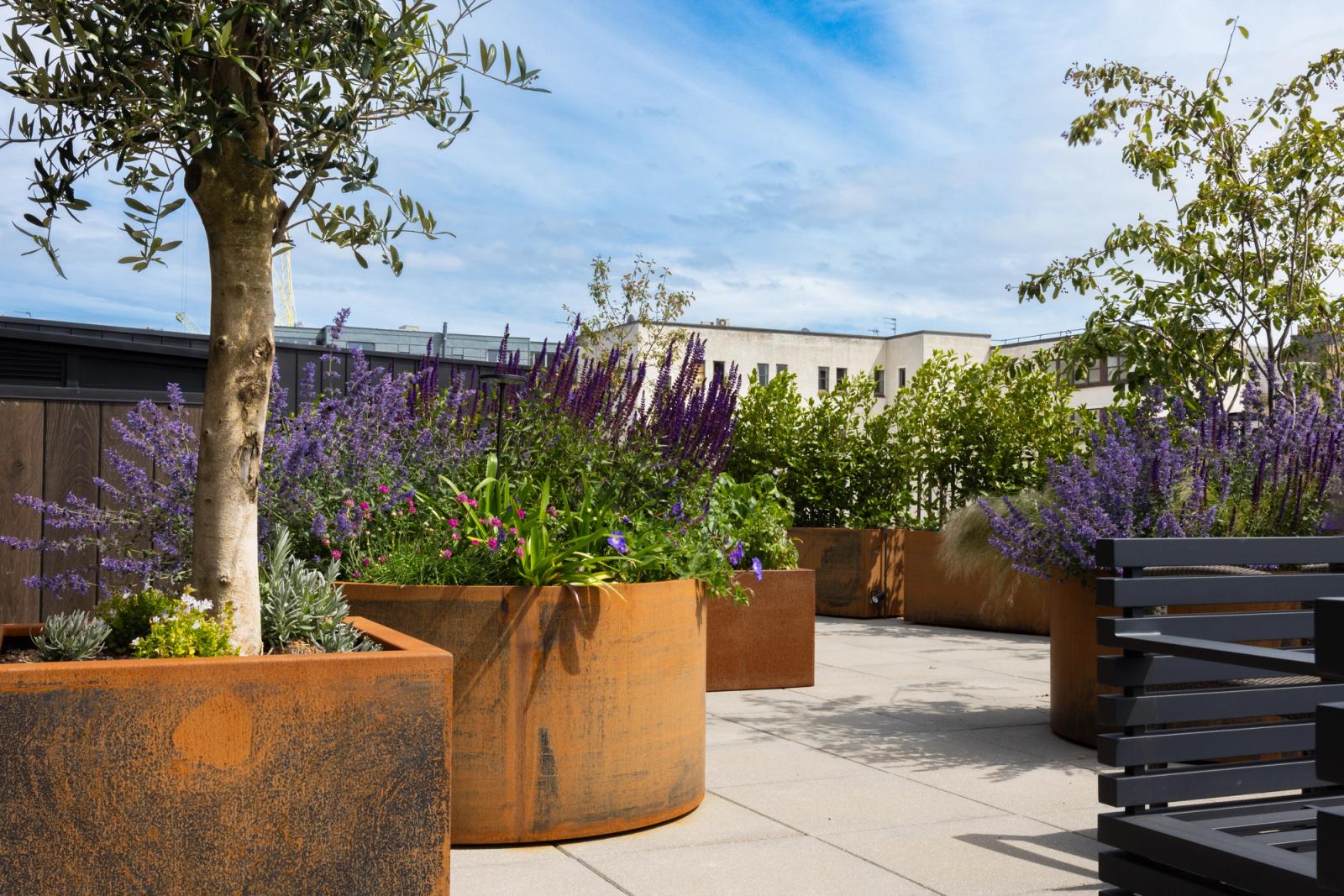 Henderson Place Roof Terrace
