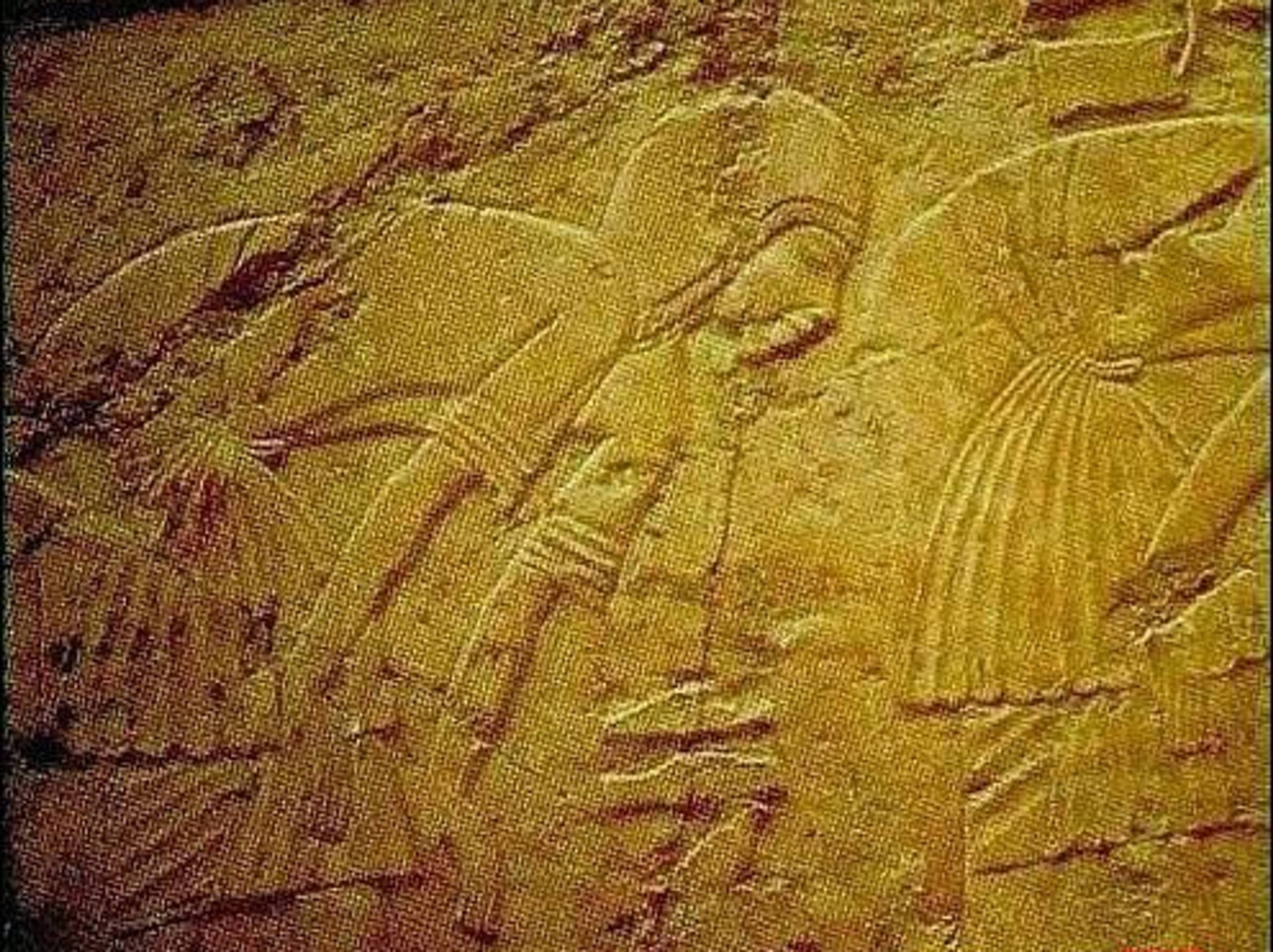 لأول مرة وثائق لبشارة كتب الهندوس بالنبي محمد صلى الله عليه وسلم - وهم العلمانية الرسمية
