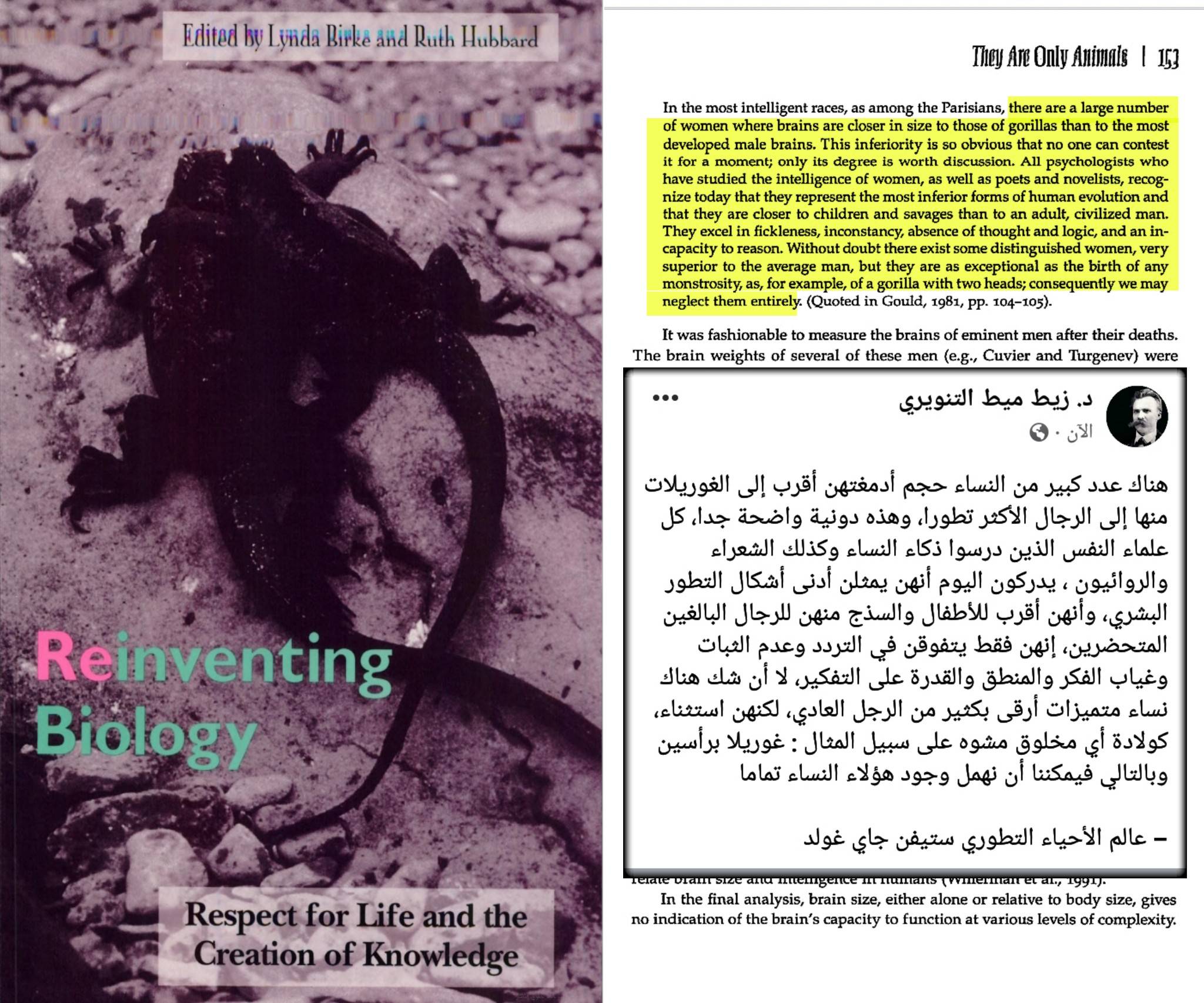 كيف صنع الإسلام العلم الحديث مصادر موثقة