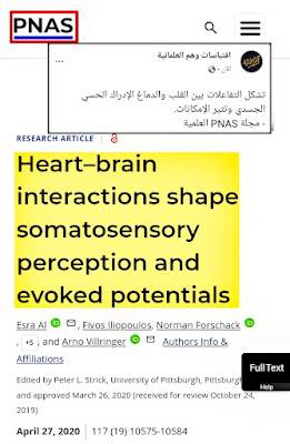 نشرت المجلة العلمية PNAS بحثا حول ما يسمى بدماغ القلب اي أن القلب يمتلك دماغا خاصا به ومفاده الأتي: "يتلقى دماغنا باستمرار إشارات من الجسم والبيئة. على الرغم من أننا في الغالب غير مدركين للعمليات الجسدية الداخلية ، مثل دقات القلب ، إلا أنها يمكن أن تؤثر على إدراكنا. هنا ، نعرض طريقتين متميزتين يعمل بهما نبض القلب على تعديل الإدراك الواعي. أولاً ، زيادة النشاط العصبي الناجم عن ضربات القلب قبل التحفيز يتبعه انخفاض في الكشف الحسي الجسدي"