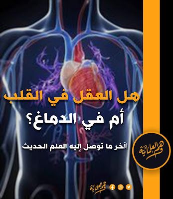 هل العقل في القلب كما صرح القرآن