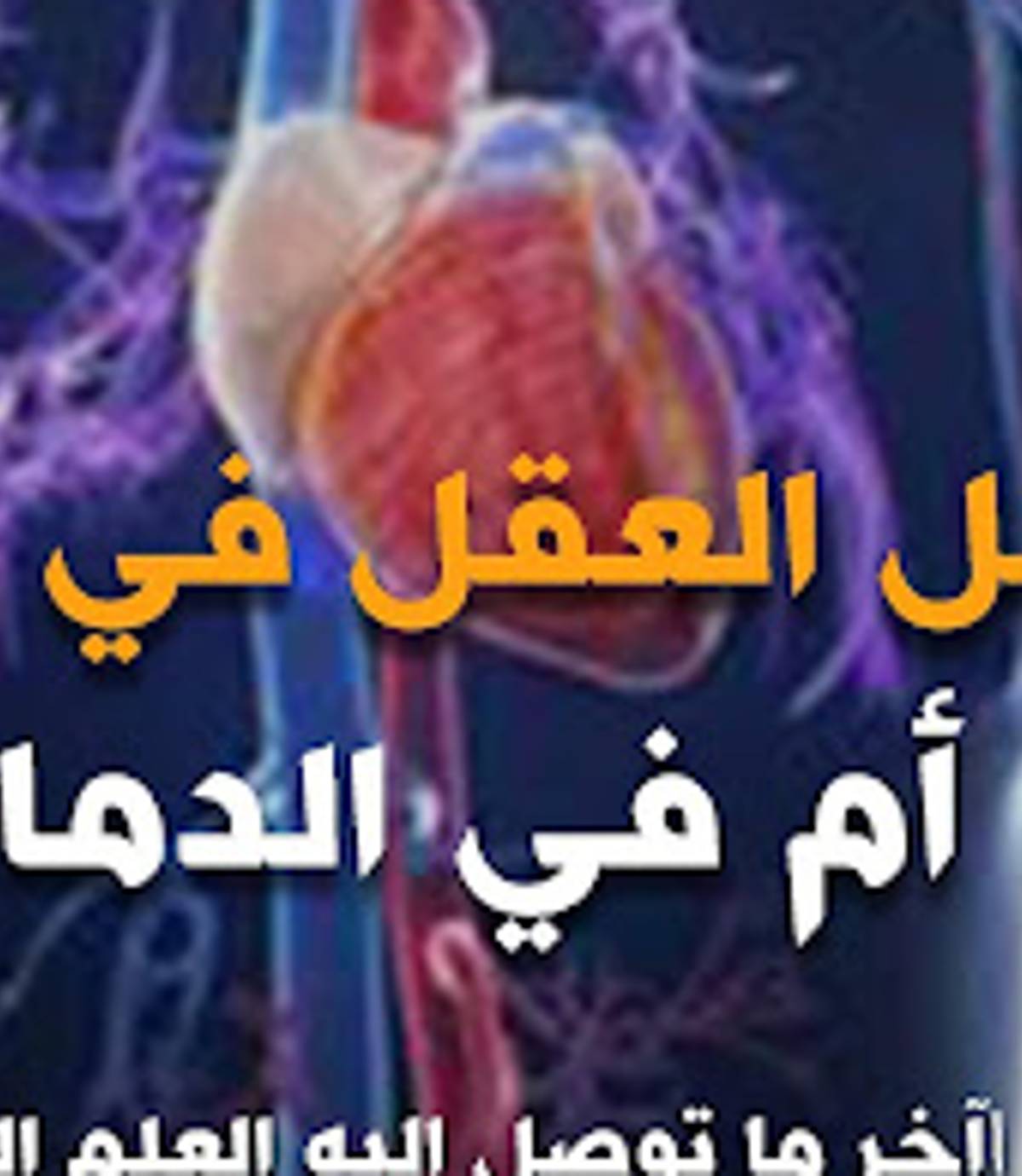 هل العقل في القلب كما صرح القرآن