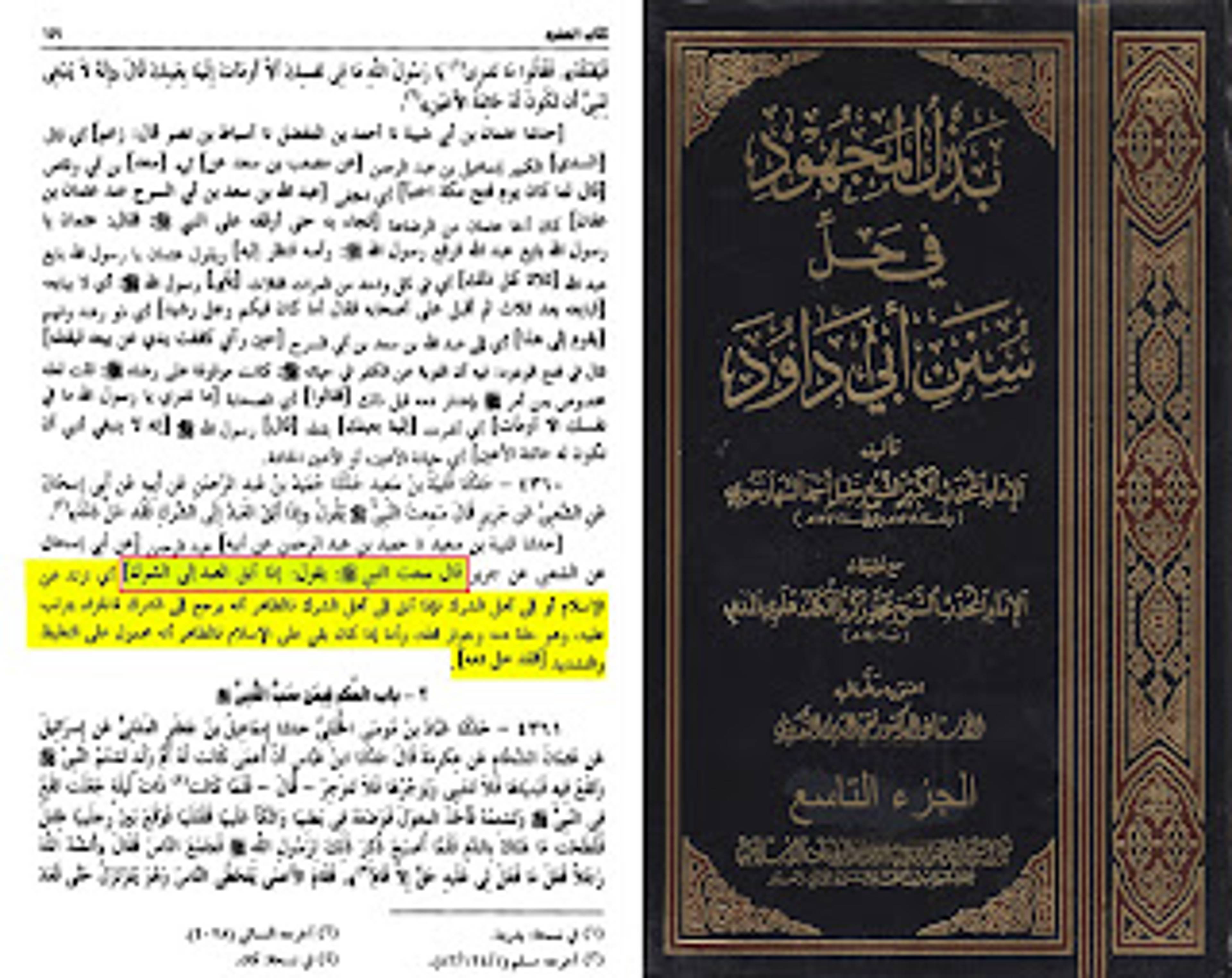 أي أرتد عن الإسلام أو إلى أهل الشرك فإذا أبق إلى أهل الشرك فالظاهر أنه يرجع إلى الشرك فالجزاء يترتب عليه، وهو حلة دمه وجواز قتله ، وأما إذا كان هرب الى بلاد الإسلام فظاهر الحديث أنه محمول على التغليظ والتشديد فقط ]