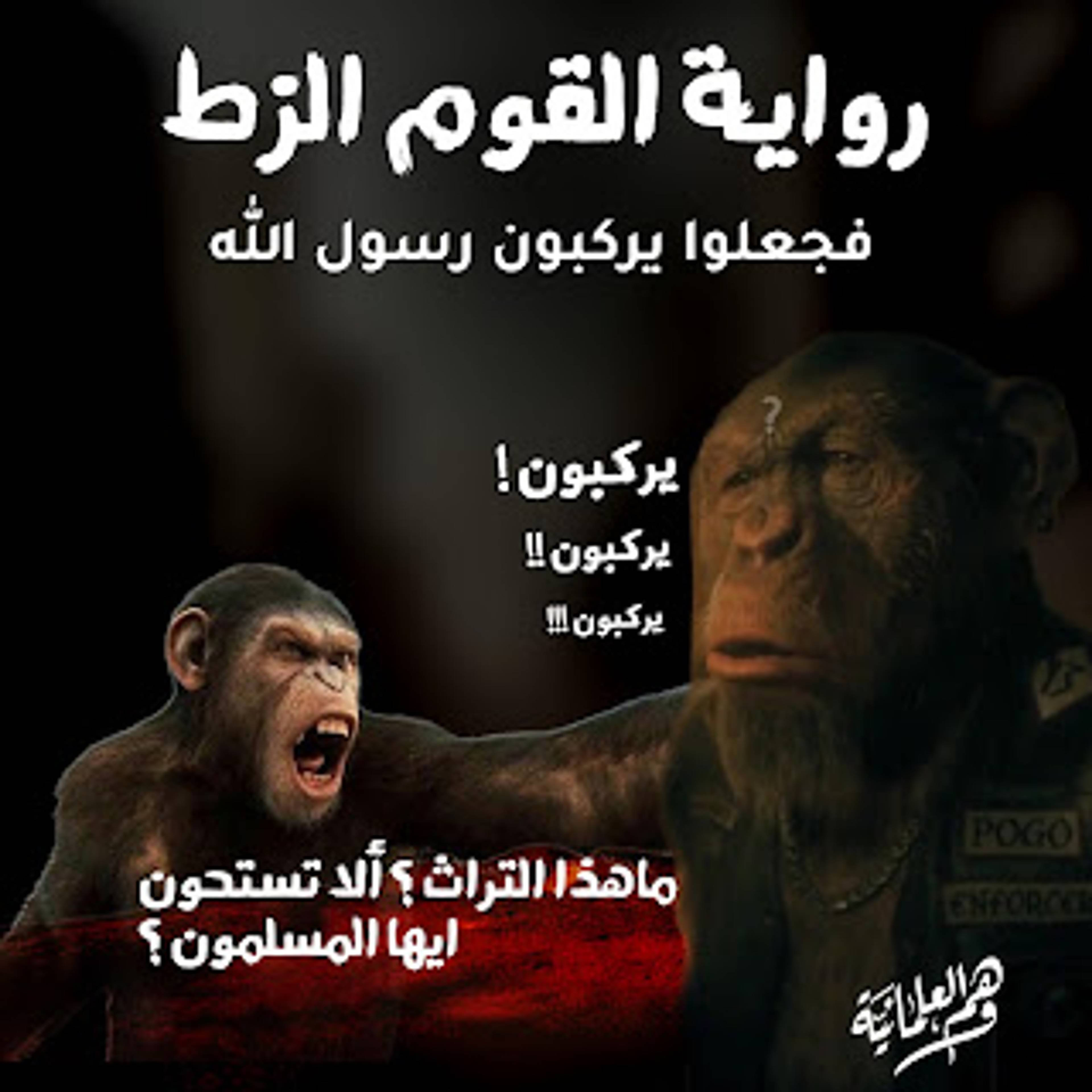 شبهة القوم الزط العراة فجعلوا يركبون رسول الله!