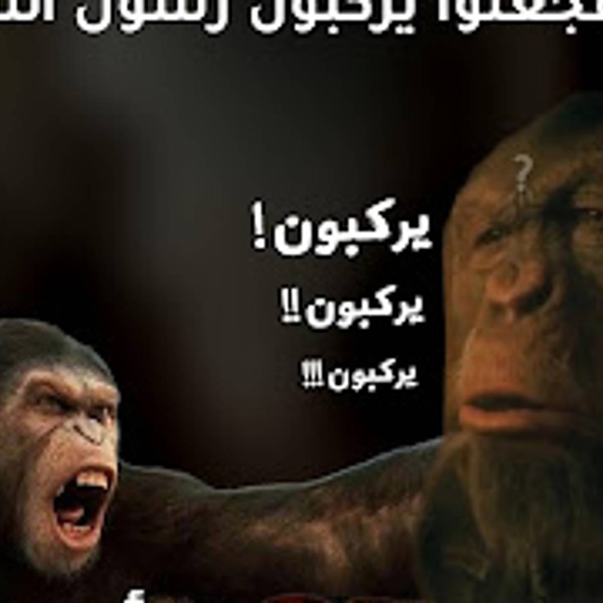 شبهة القوم الزط العراة فجعلوا يركبون رسول الله!