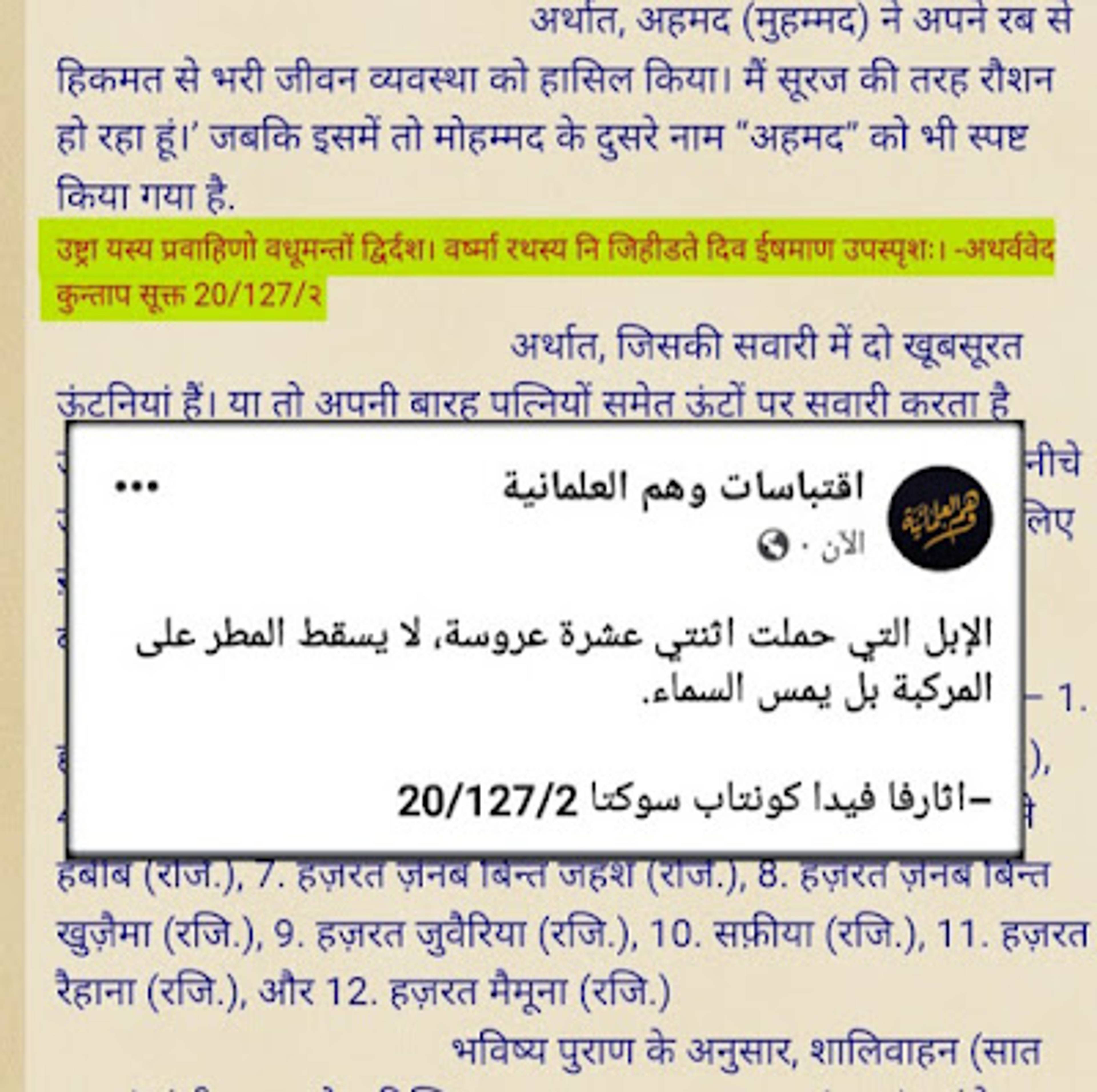 الإبل التي حملت اثنى عشر عروسة