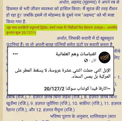 الإبل التي حملت اثنى عشر عروسة