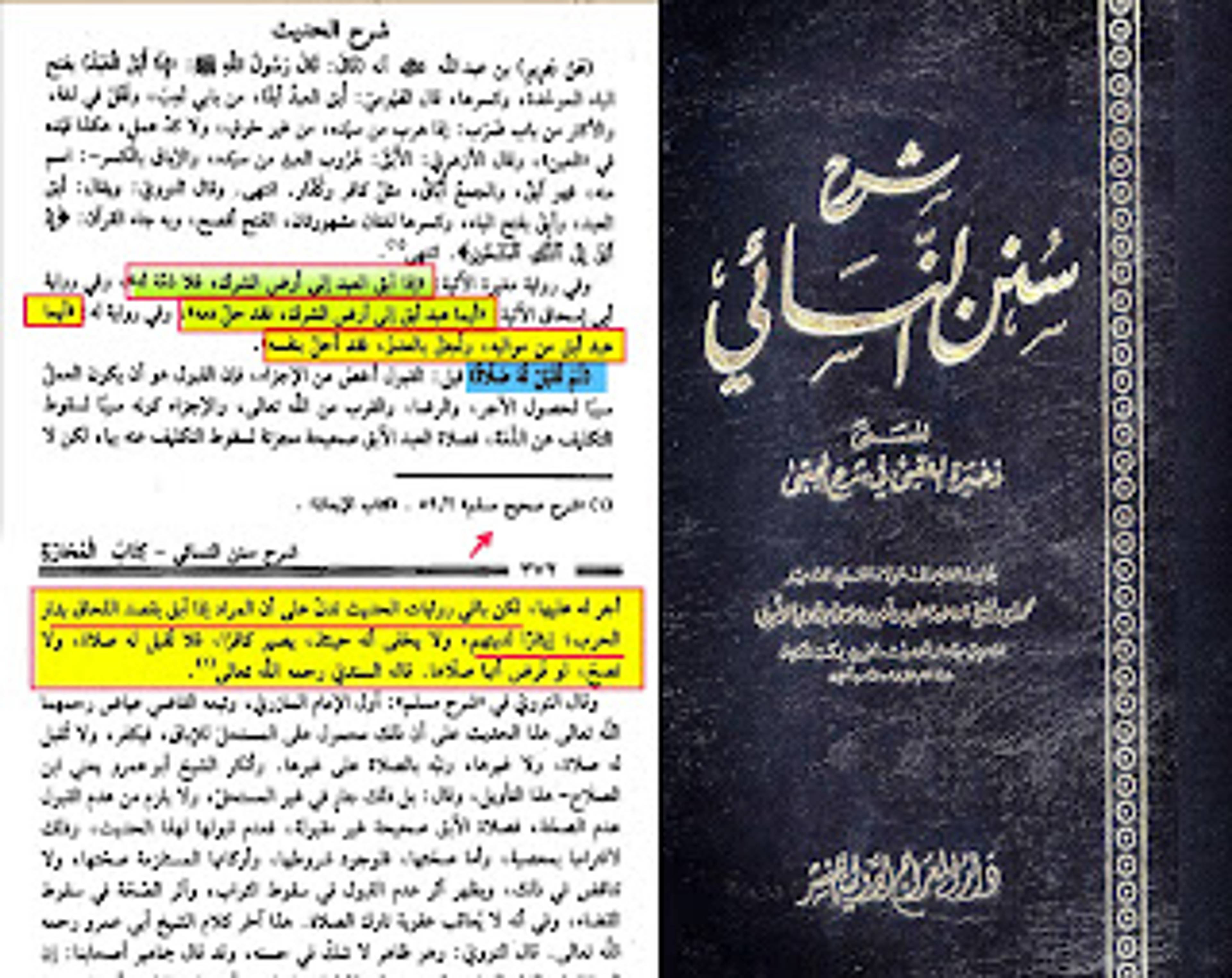 شرح النسائي