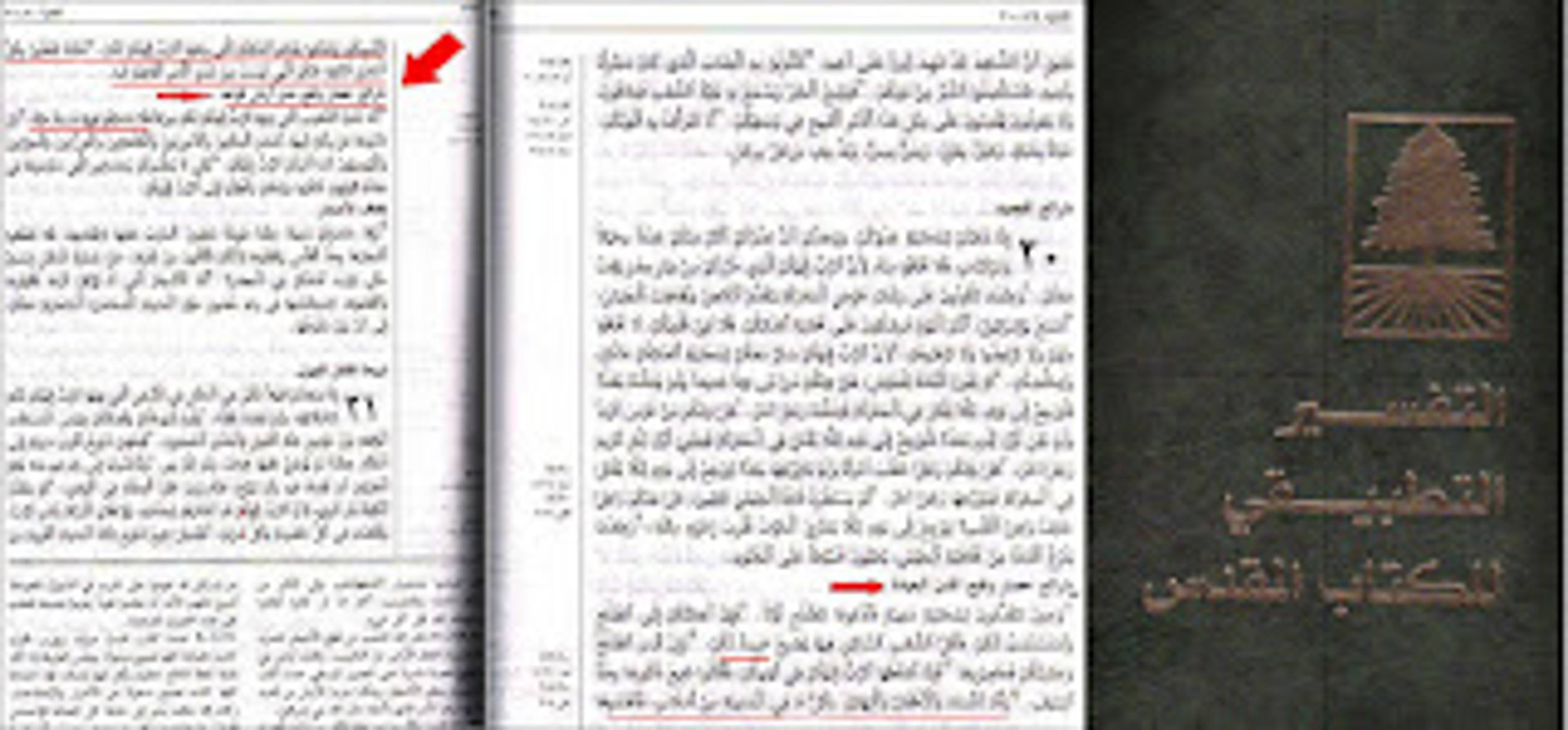 اذا دخلت قرية فاستسلم اهلها فيتم استعباد جميع أهلها وإن دخلوها بعد حرب فإن رجال كل تلك القرية يقتلون