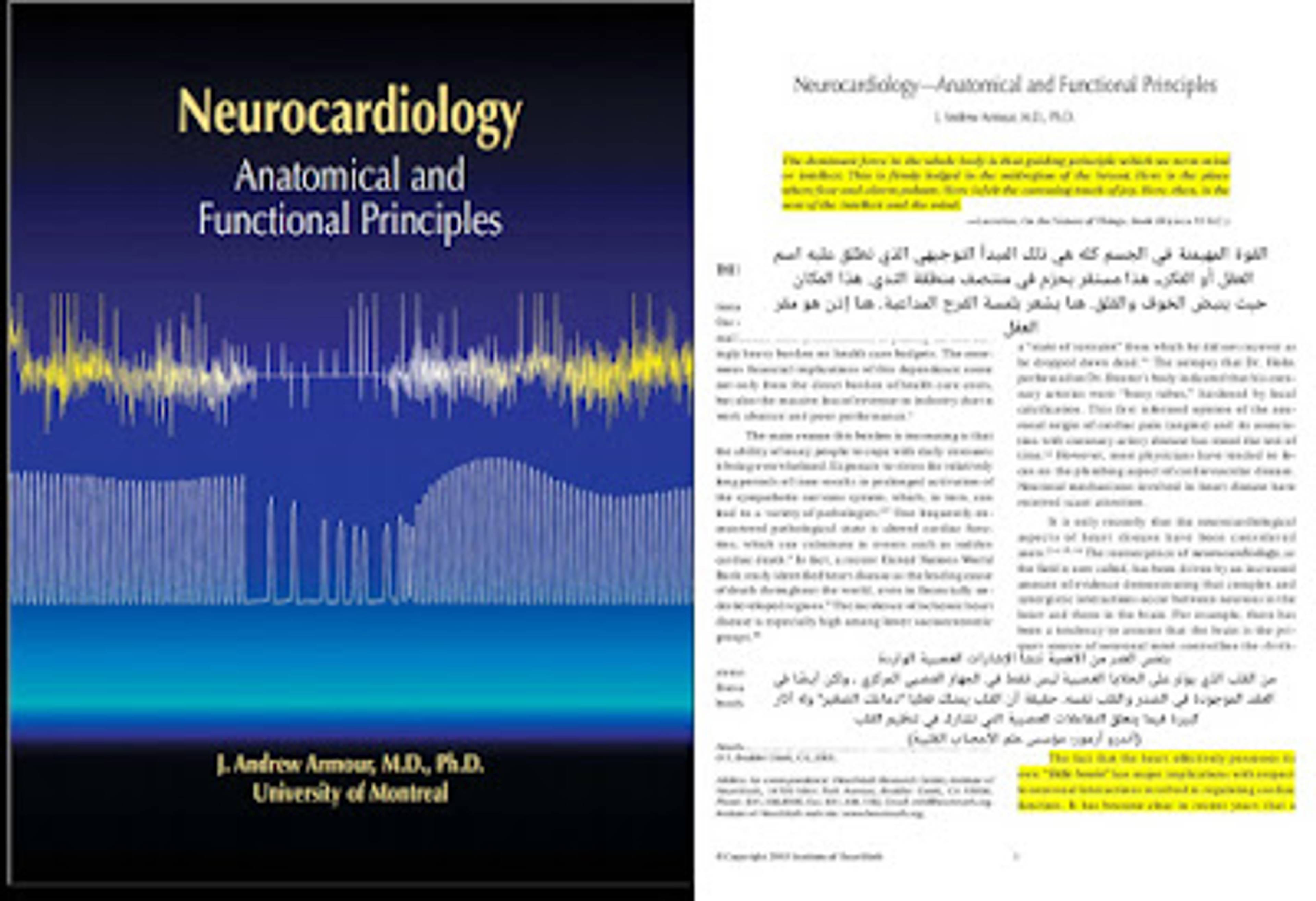 أندرو أرمور) مؤسس علم الأعصاب القلبية بتتبع الأعمال الوظيفية للقلب وإنتهى إلى تسمية القلب بـ(الدماغ الصغير) وقال: "بنفس القدر من الأهمية تنشأ الإشارت العصبية الواردة من #القلب الذي يؤثر على الخلايا ليس فقط في الجهاز العصبي المركزي ولكن أيضا في العقد الموجودة في الصدر والقلب نفسه...حقيقة أن القلب يمتلك فعليا «دماغك الصغير» وله أثار كبيرة فيما يتعلق بالتفاعلات العصبية التي تشارك في تنظيم القلب"