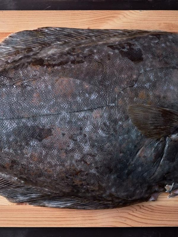 Filetering av flatfisk