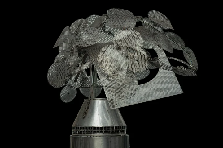 Baum