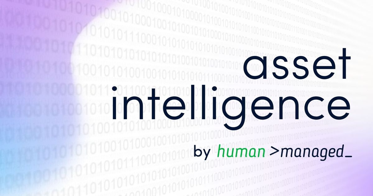 Asset Intelligence: Why Knowing What You Have Is Only Half the Battle