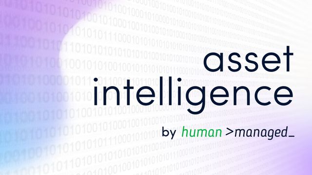 Asset Intelligence: Why Knowing What You Have Is Only Half the Battle