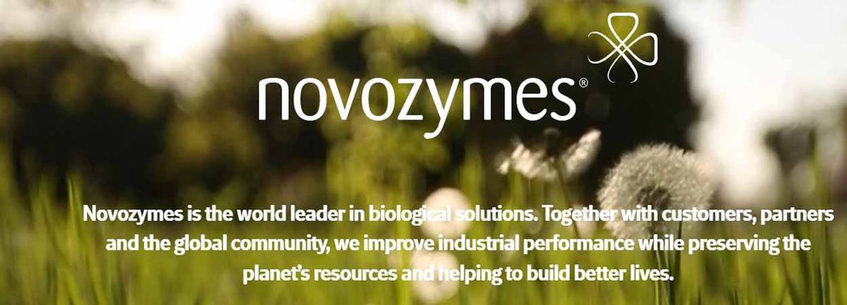 Novozymes Description