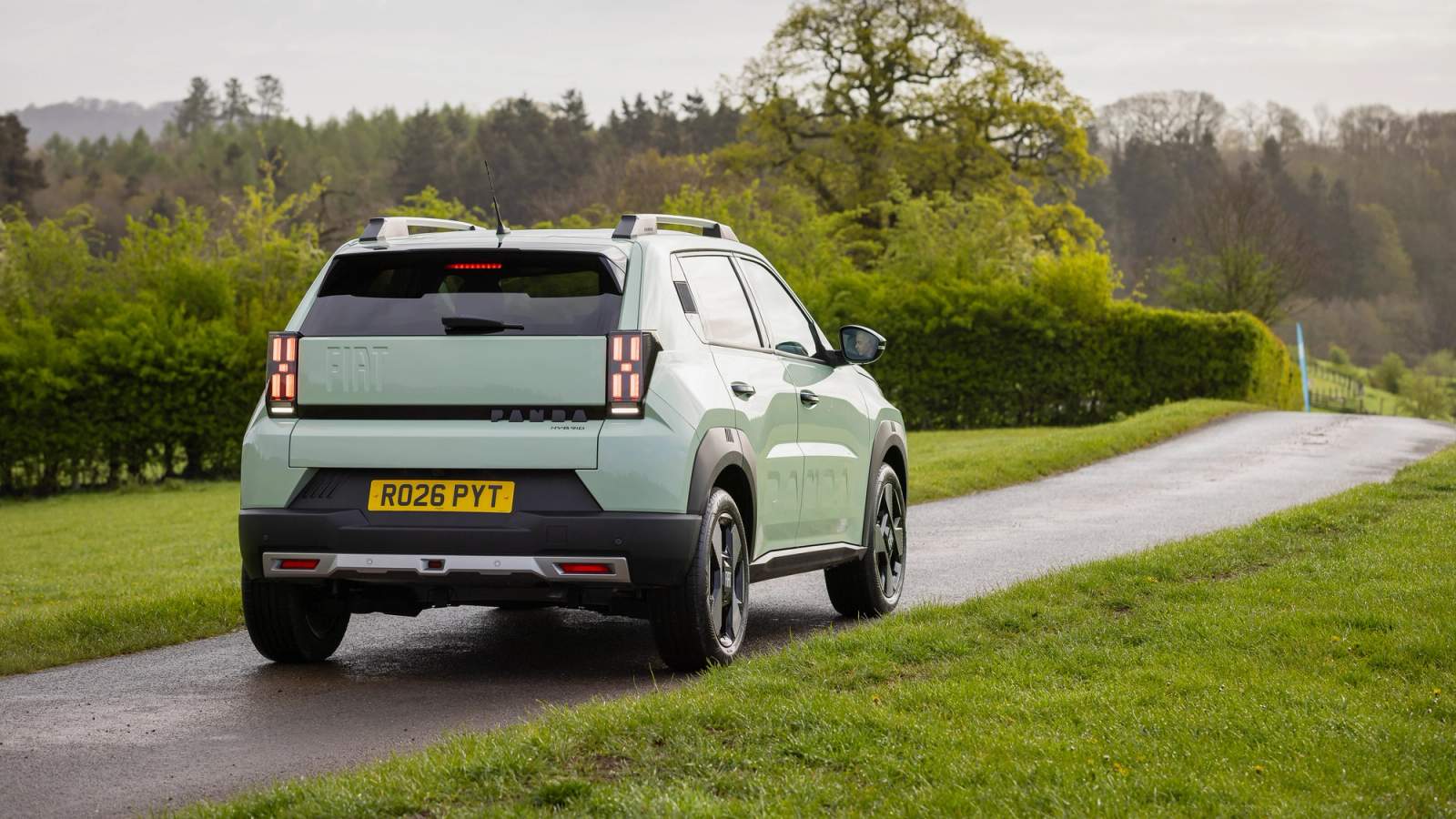 Fiat Grande Panda rear driving