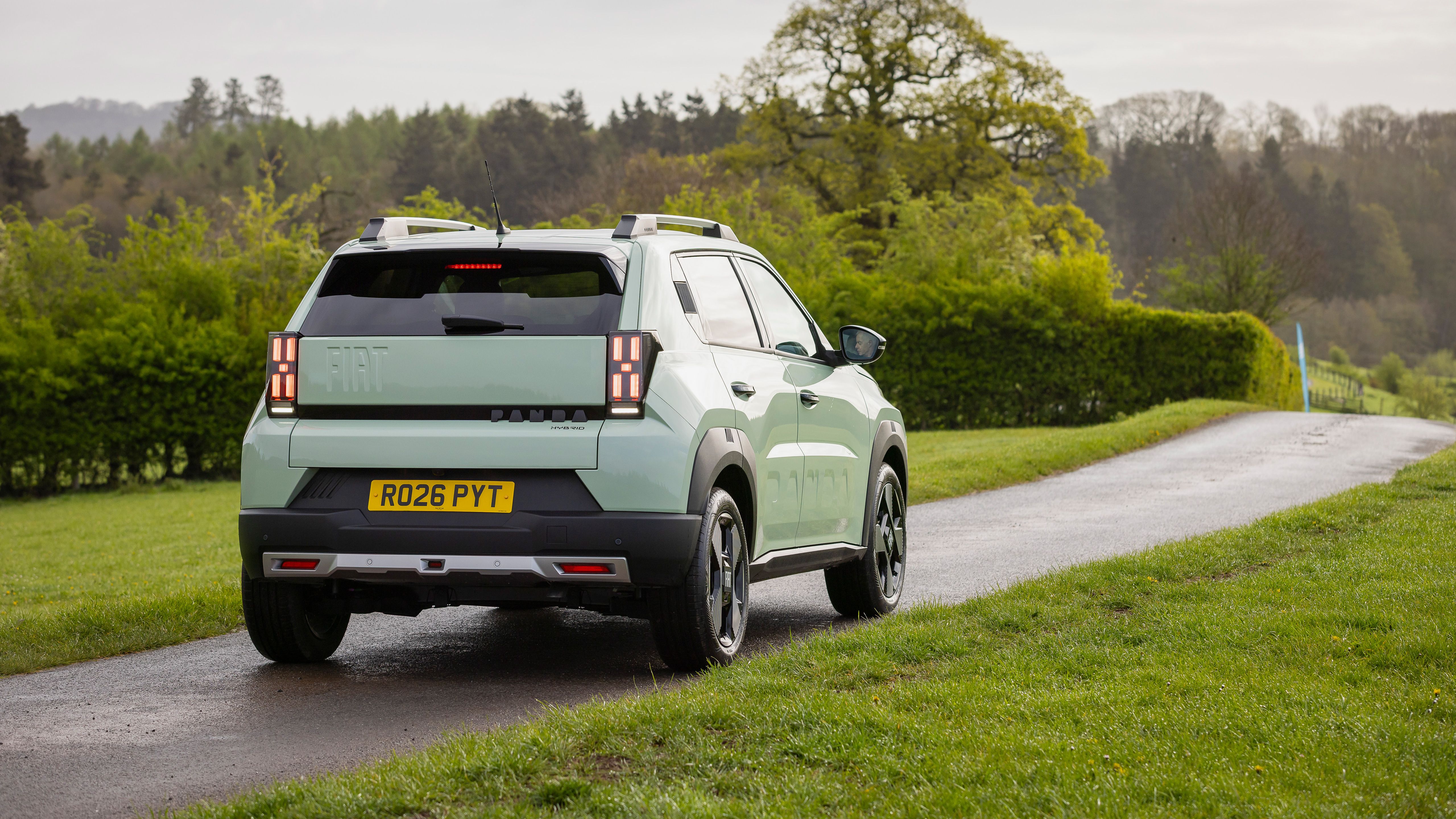 Fiat Grande Panda rear driving