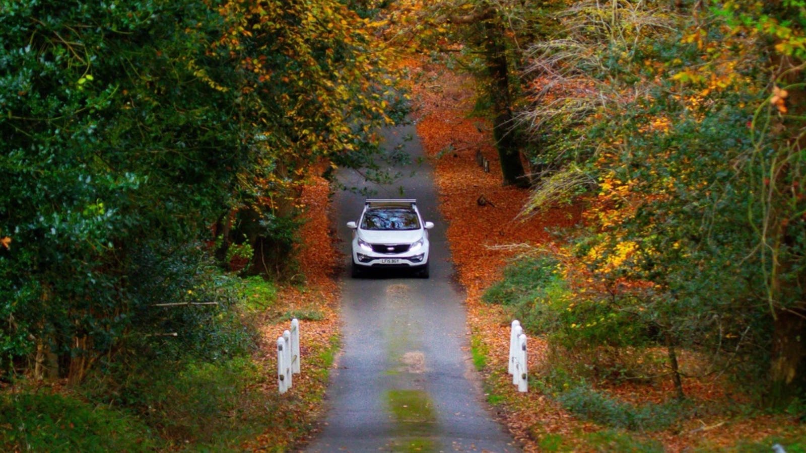 Is Autumn a Good Time to Buy a Used Car?