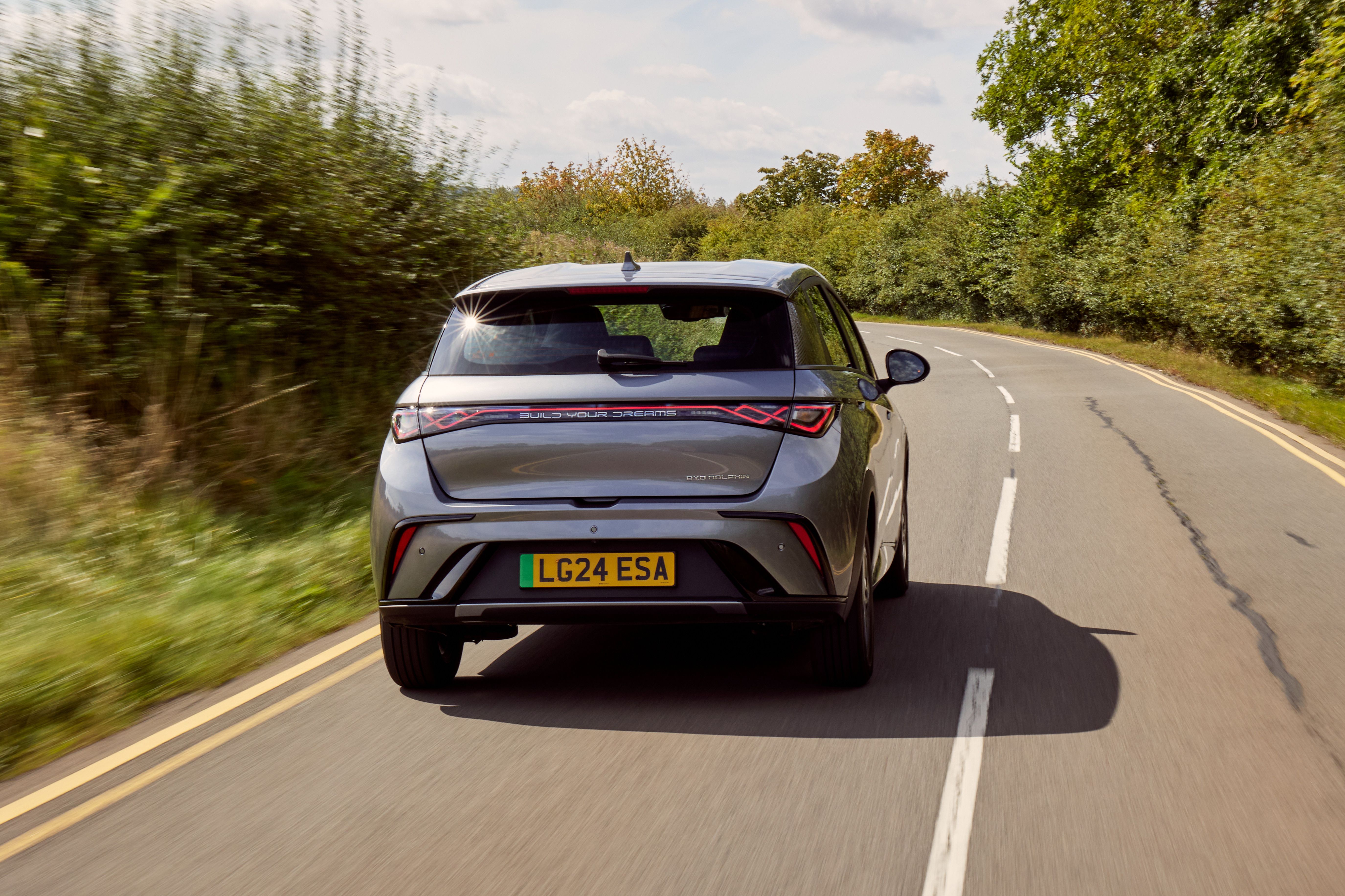 BYD Dolphin rear driving