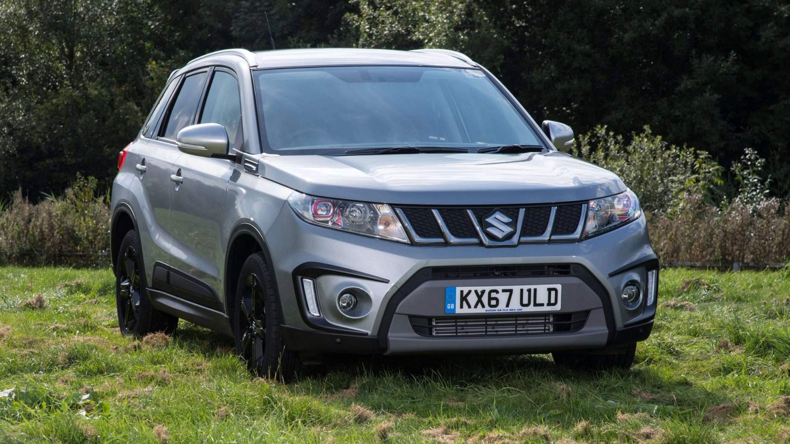 Silver Suzuki Vitara parked on grass
