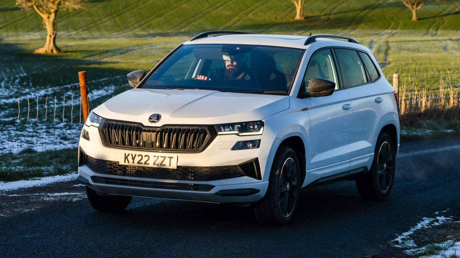 Skoda Karoq review image