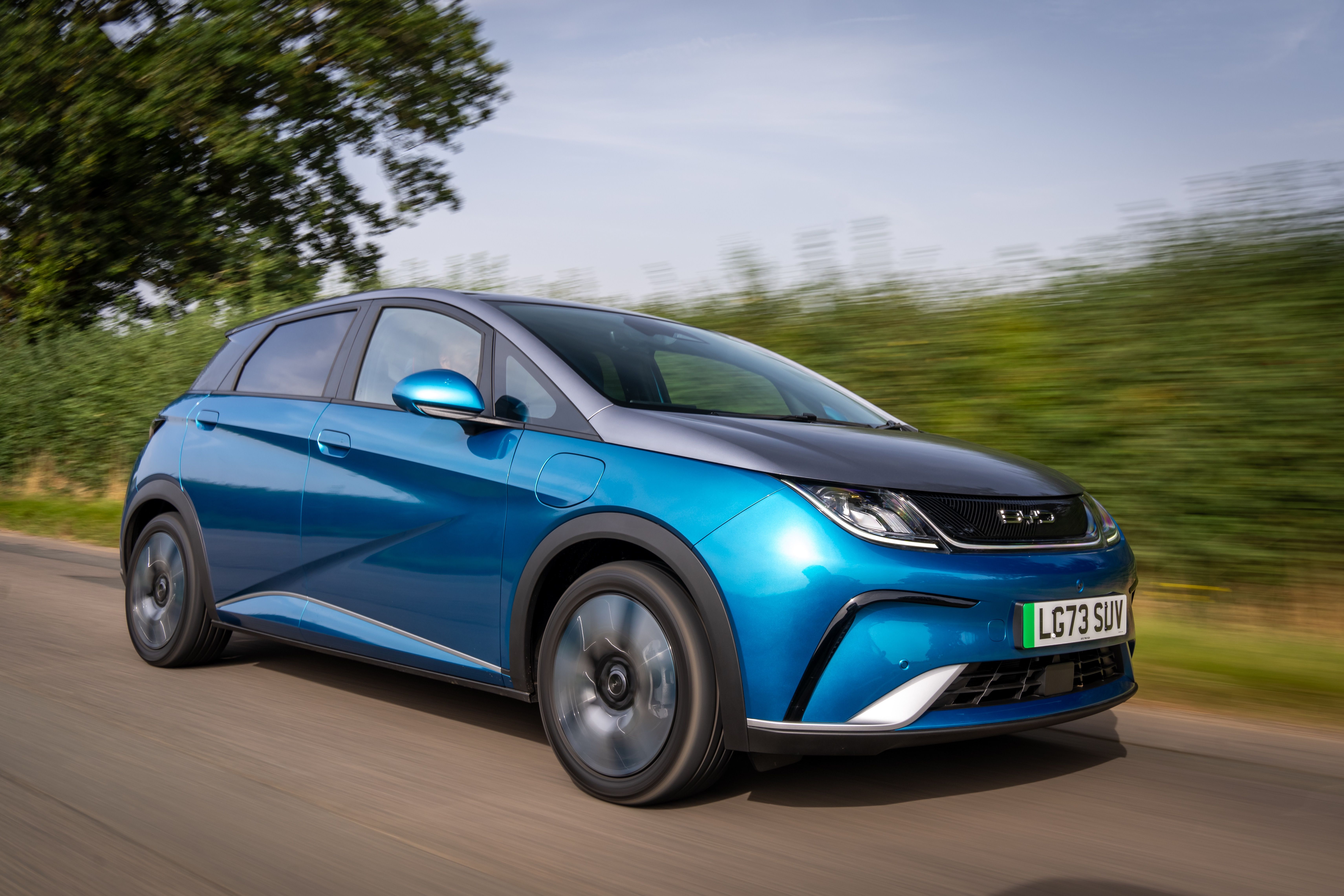 BYD Dolphin review image