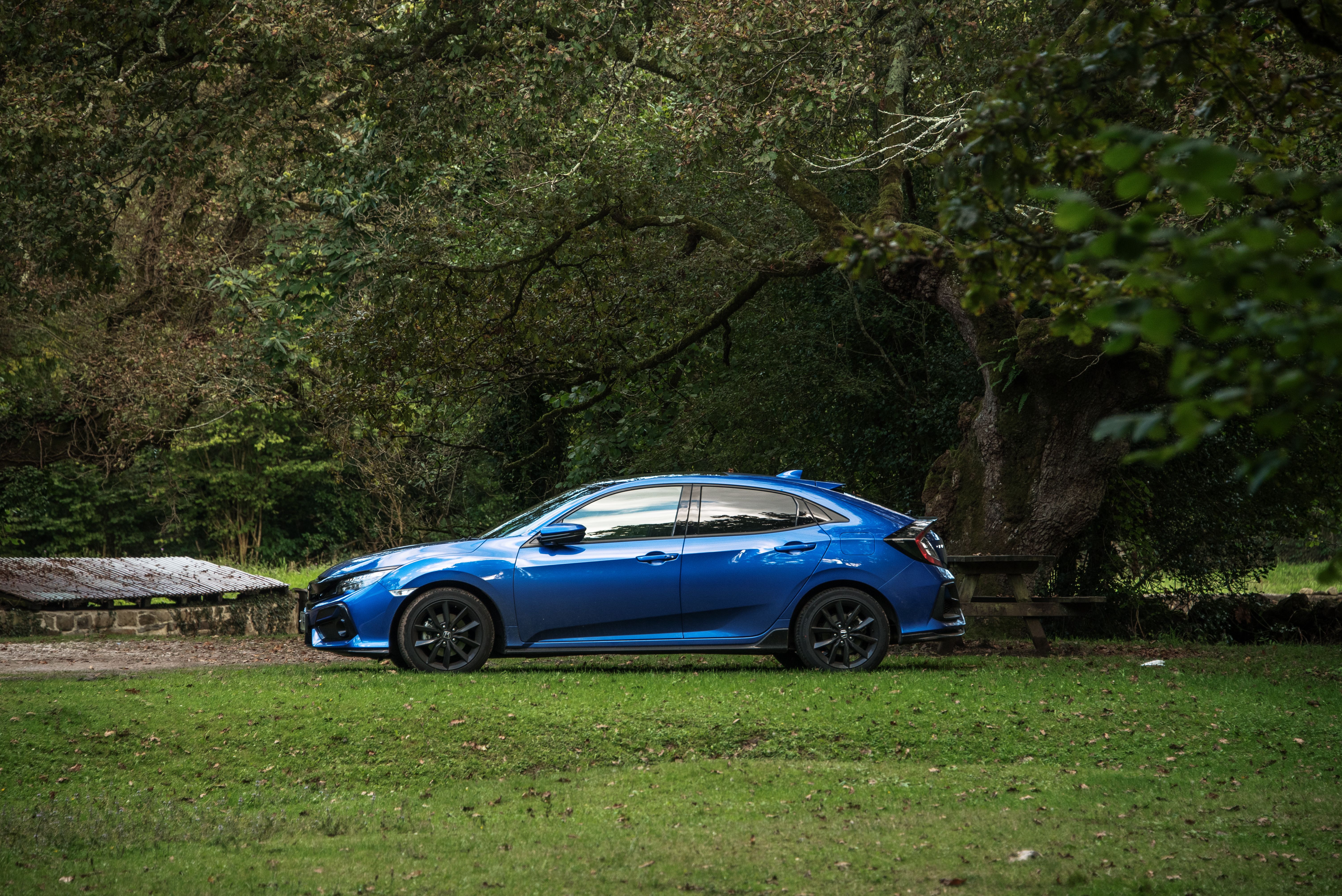 blue car parked in a green area