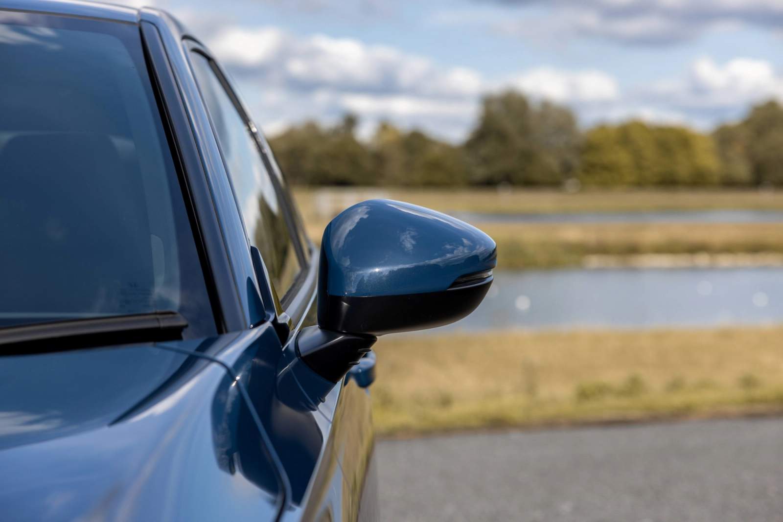 Door mirror