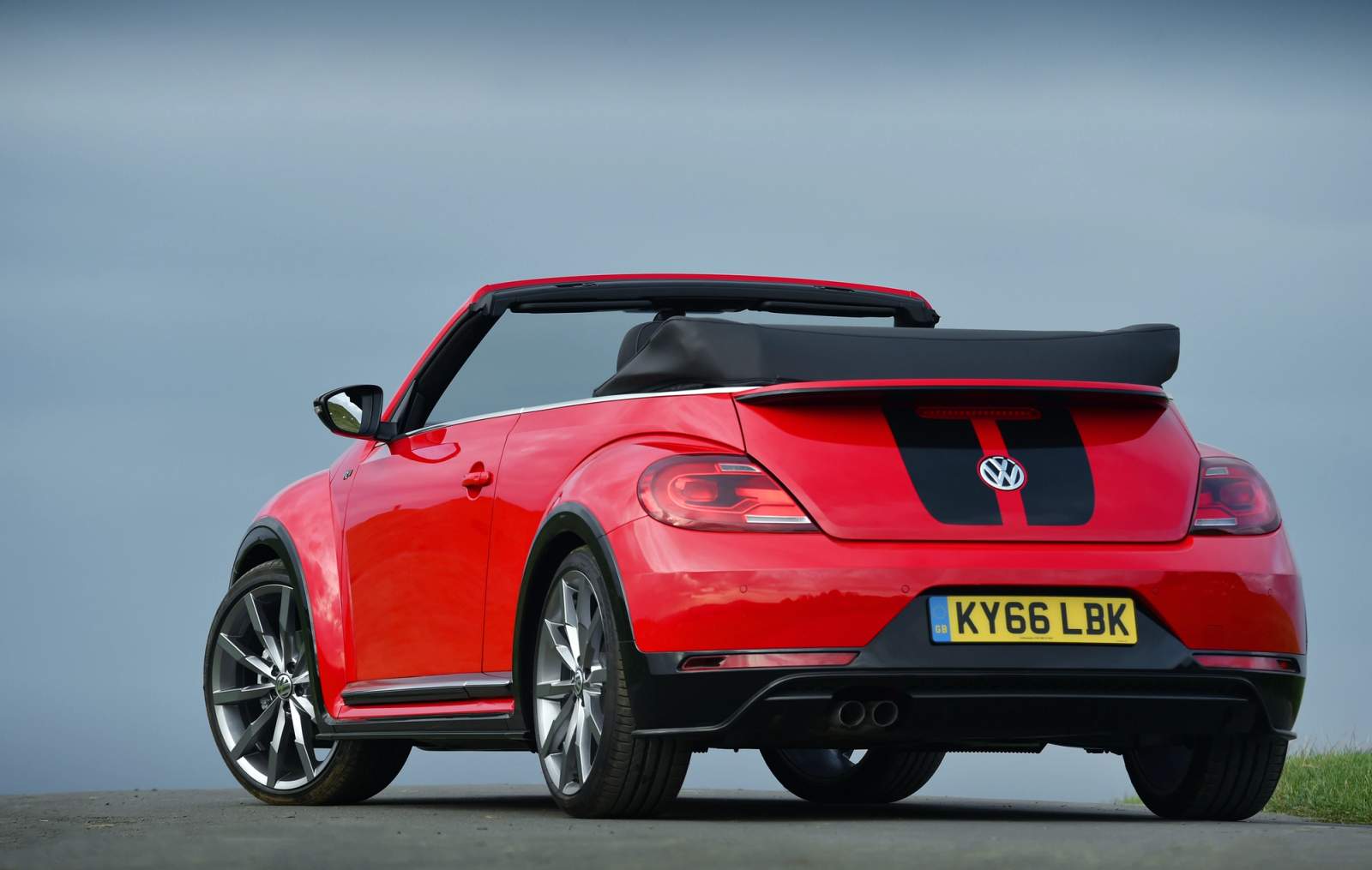 red beetle 