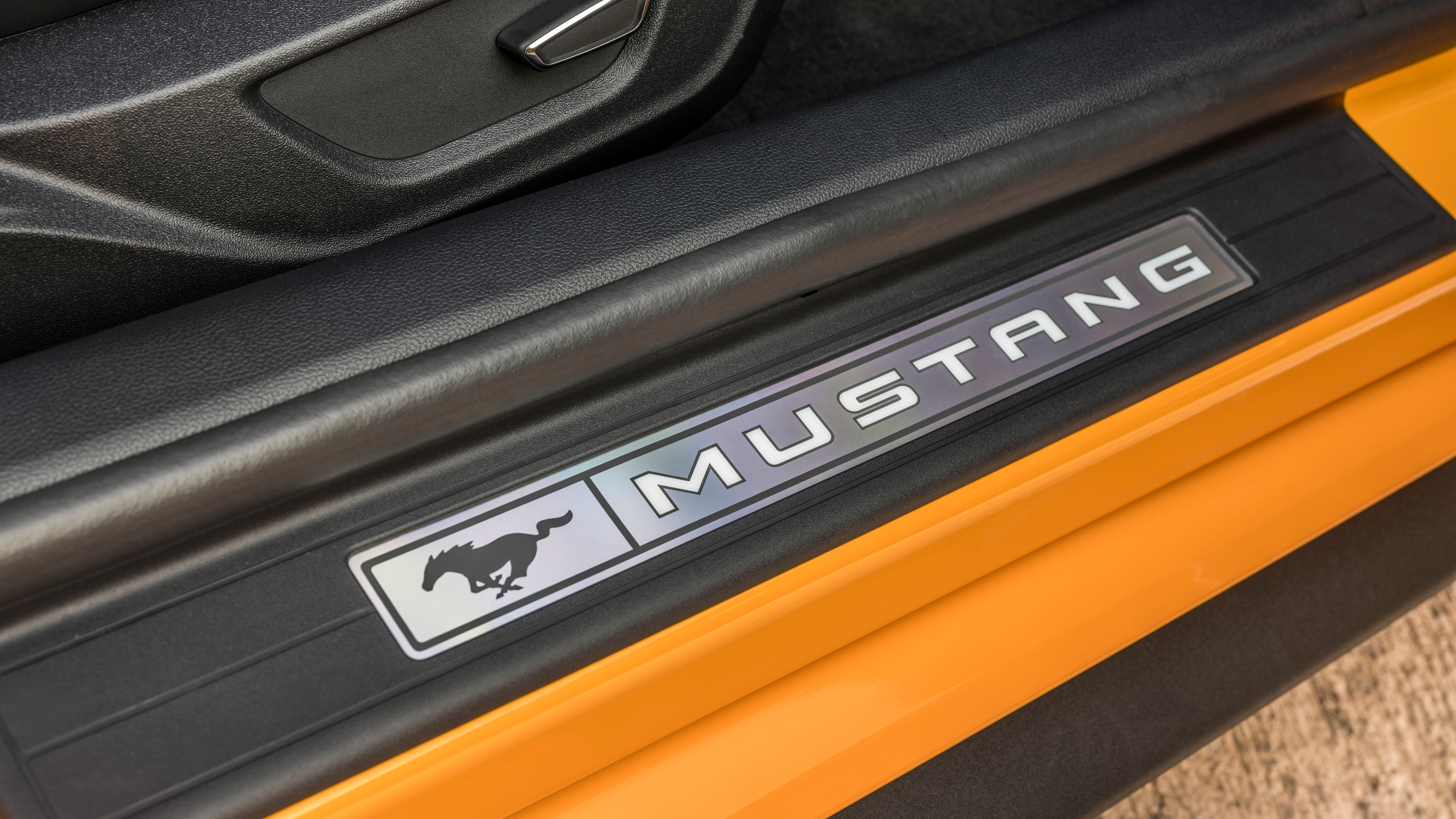 Ford Mustang trim panel