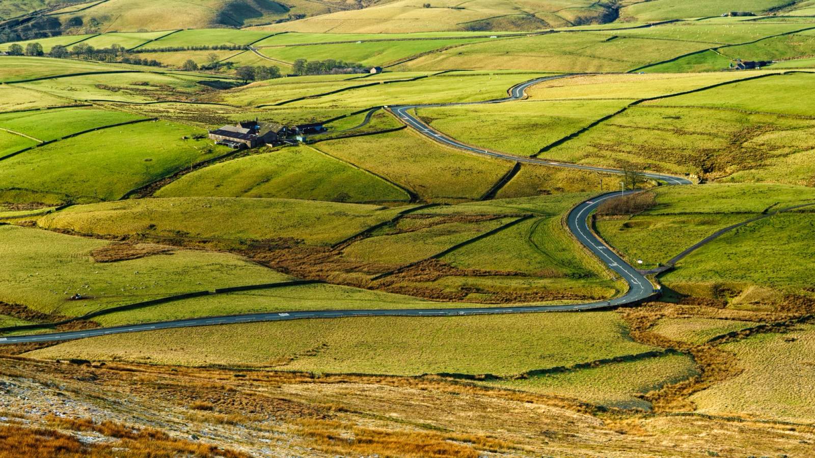Cat and Fiddle Road