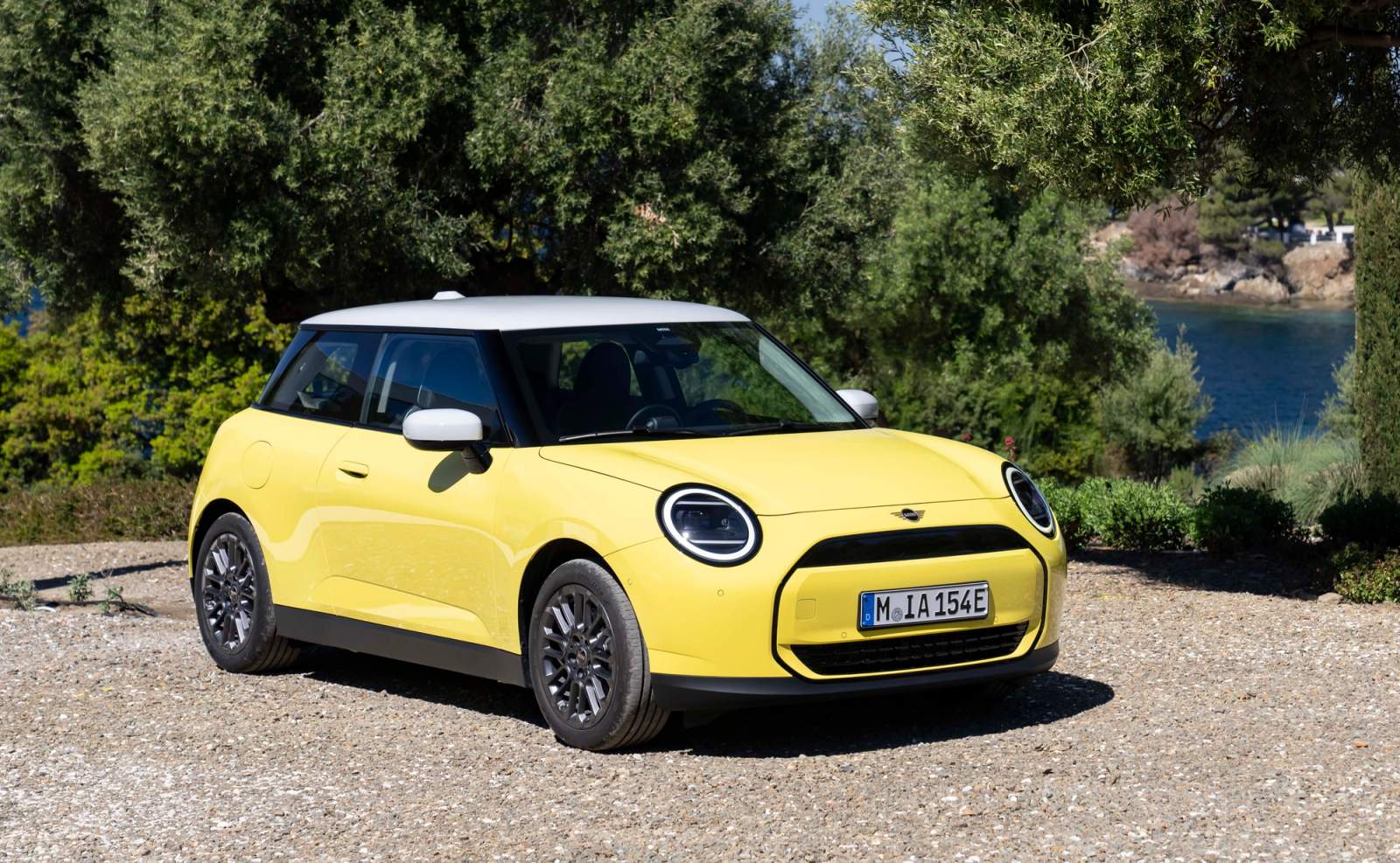 mini electric