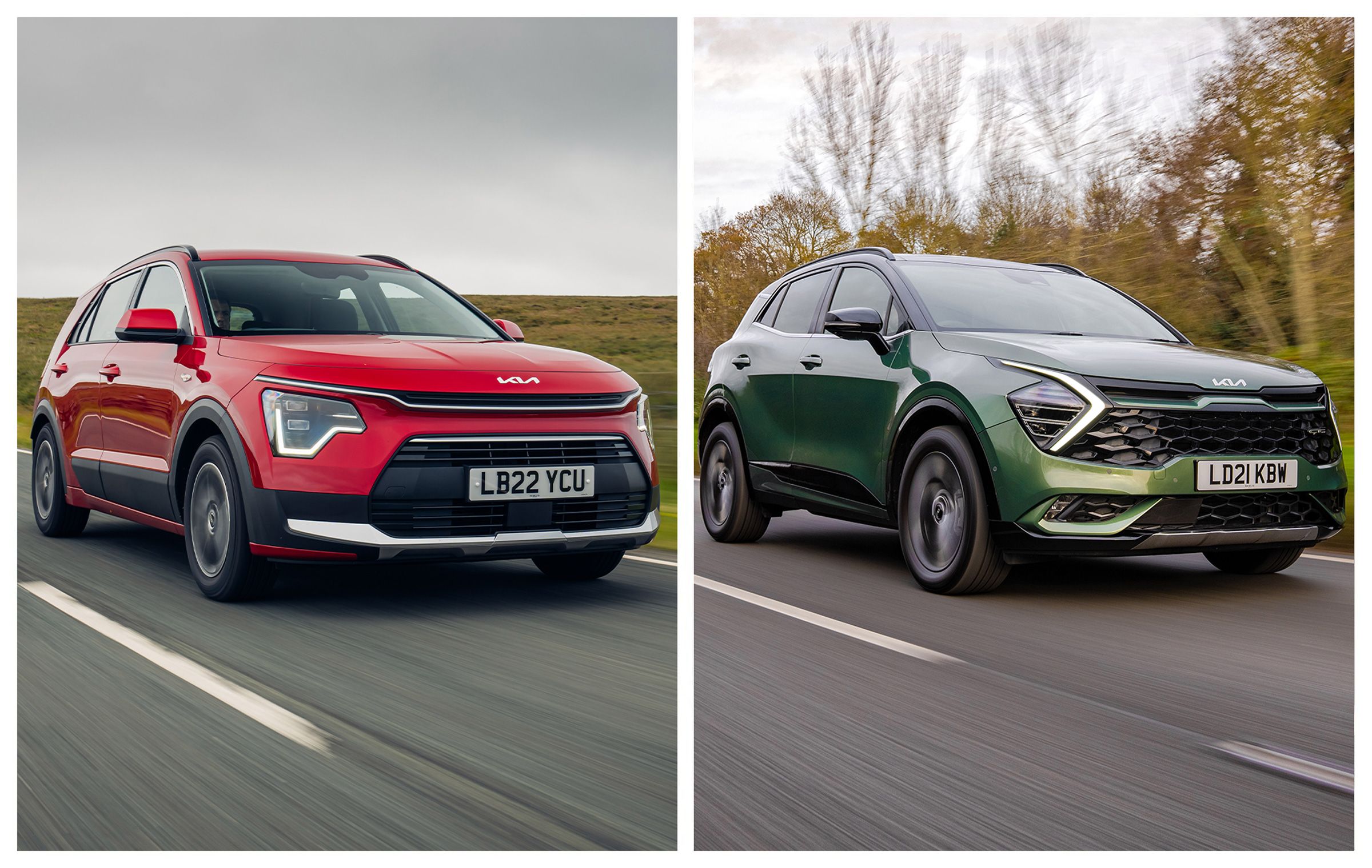 Kia Niro vs Kia Sportage