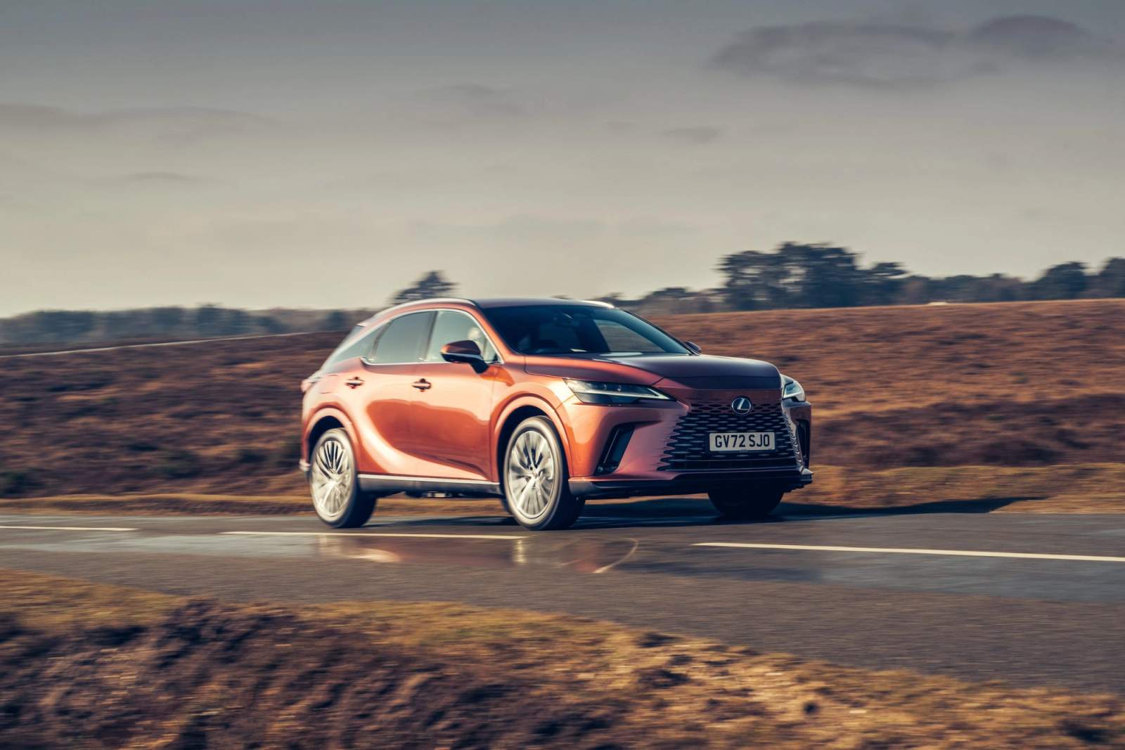 lexus rx