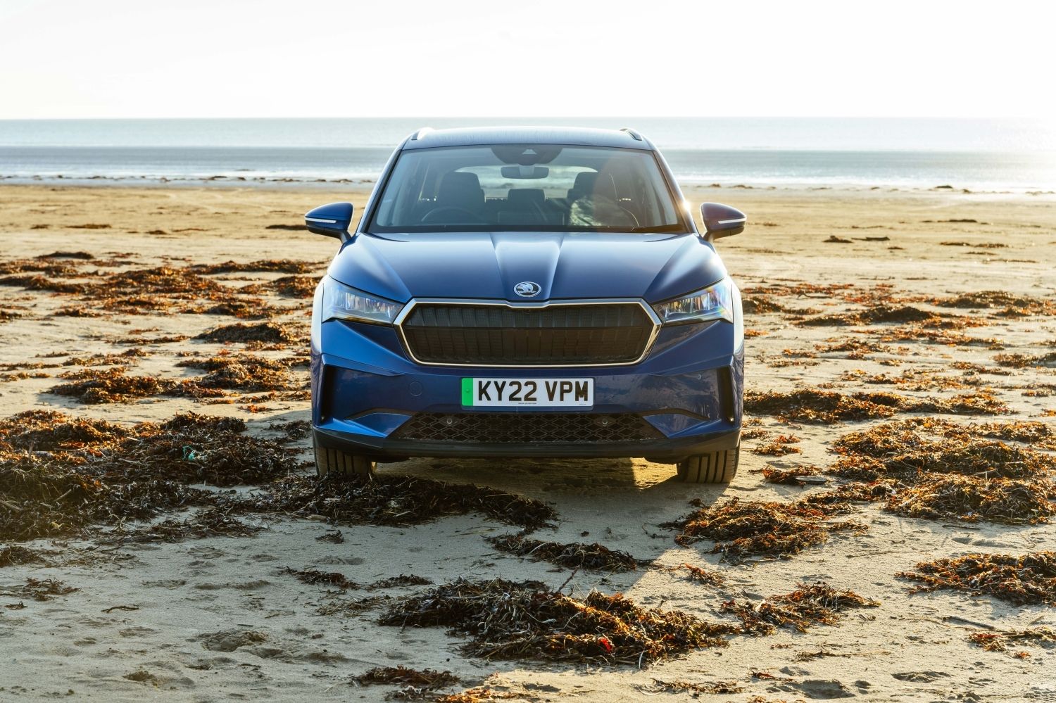 blue skoda enyaq
