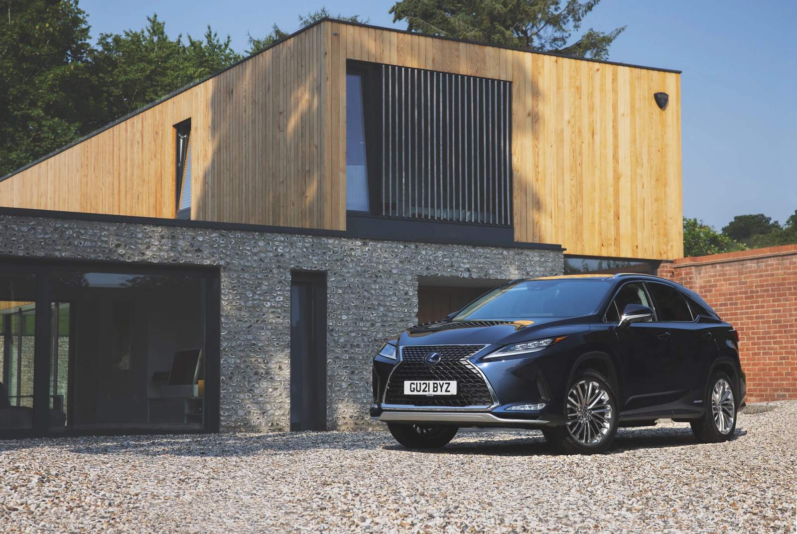 Blue Lexus RX