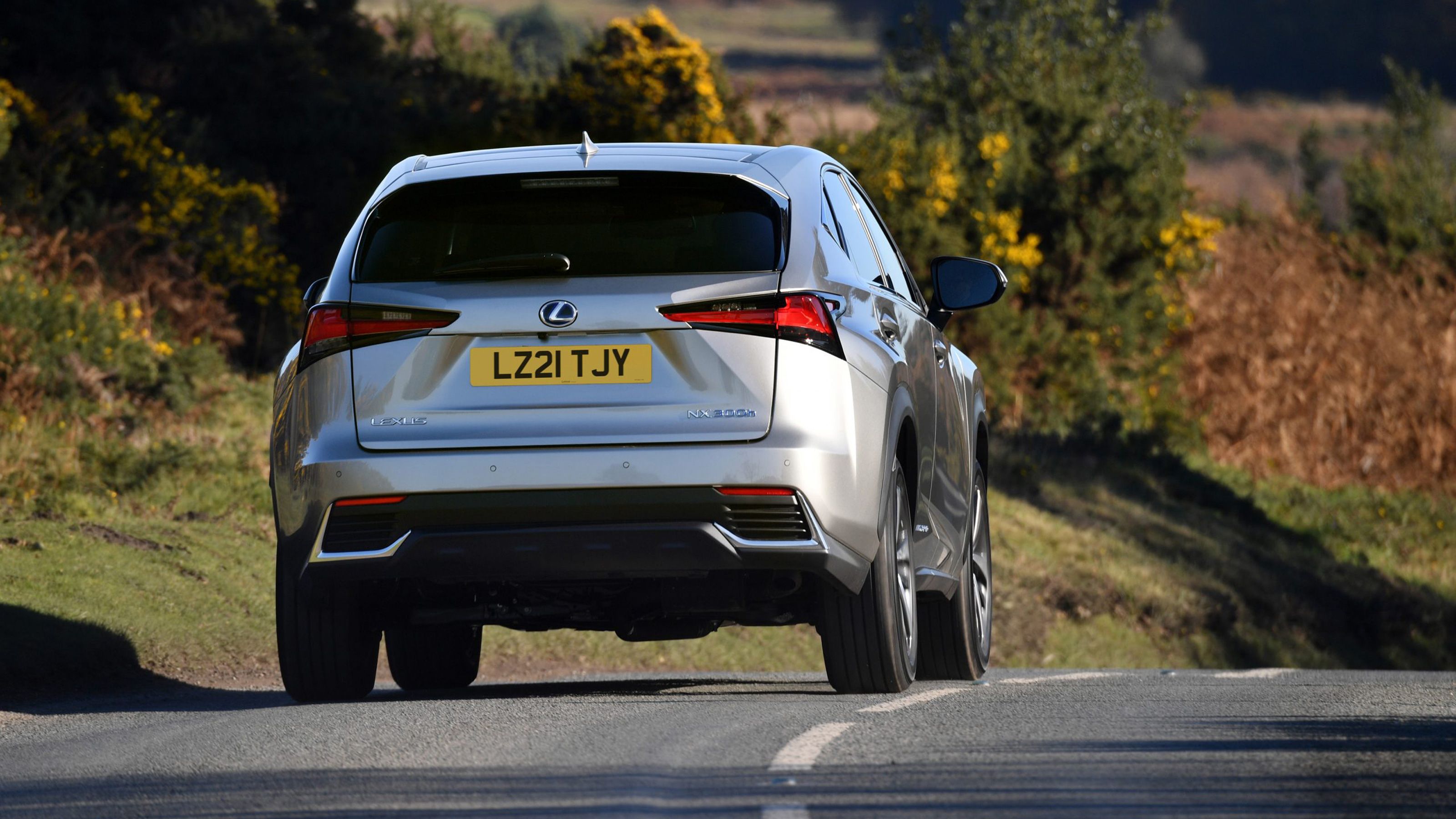 Lexus NX rear driving