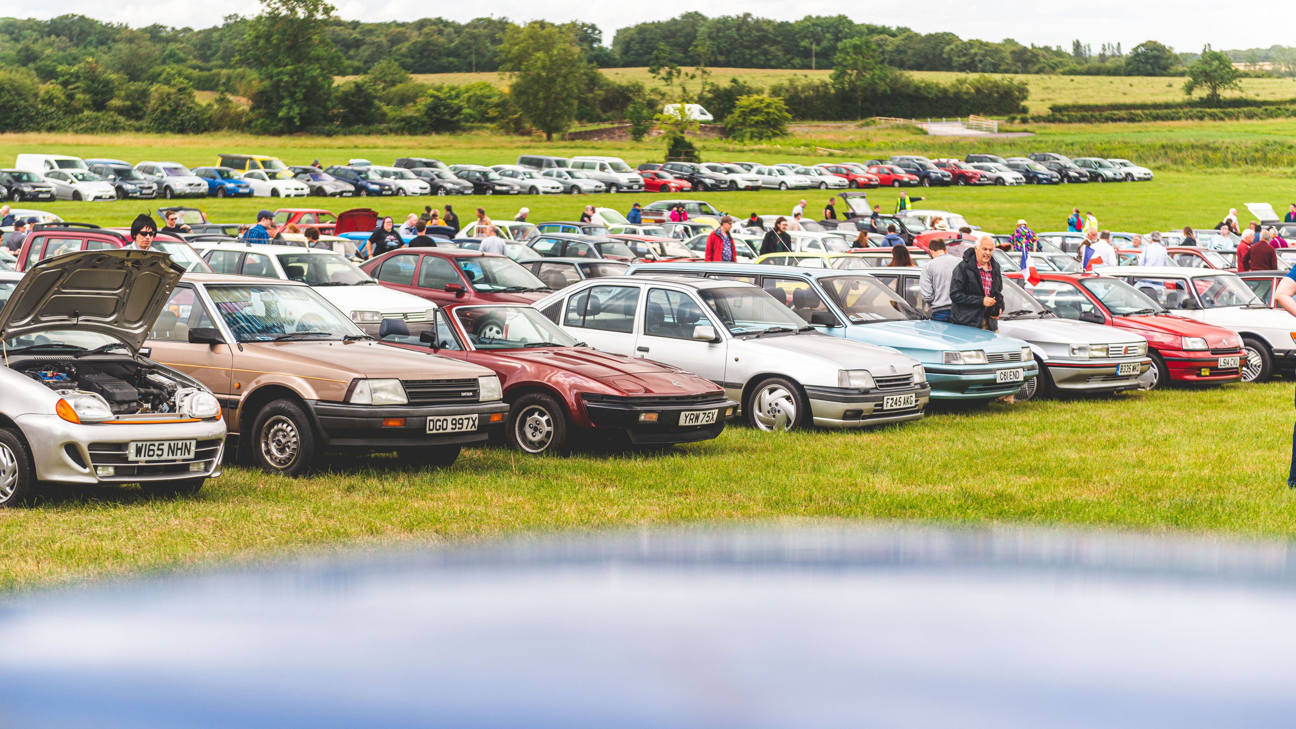 Modern classics lined up in a field for Festival of the Unexceptional car show