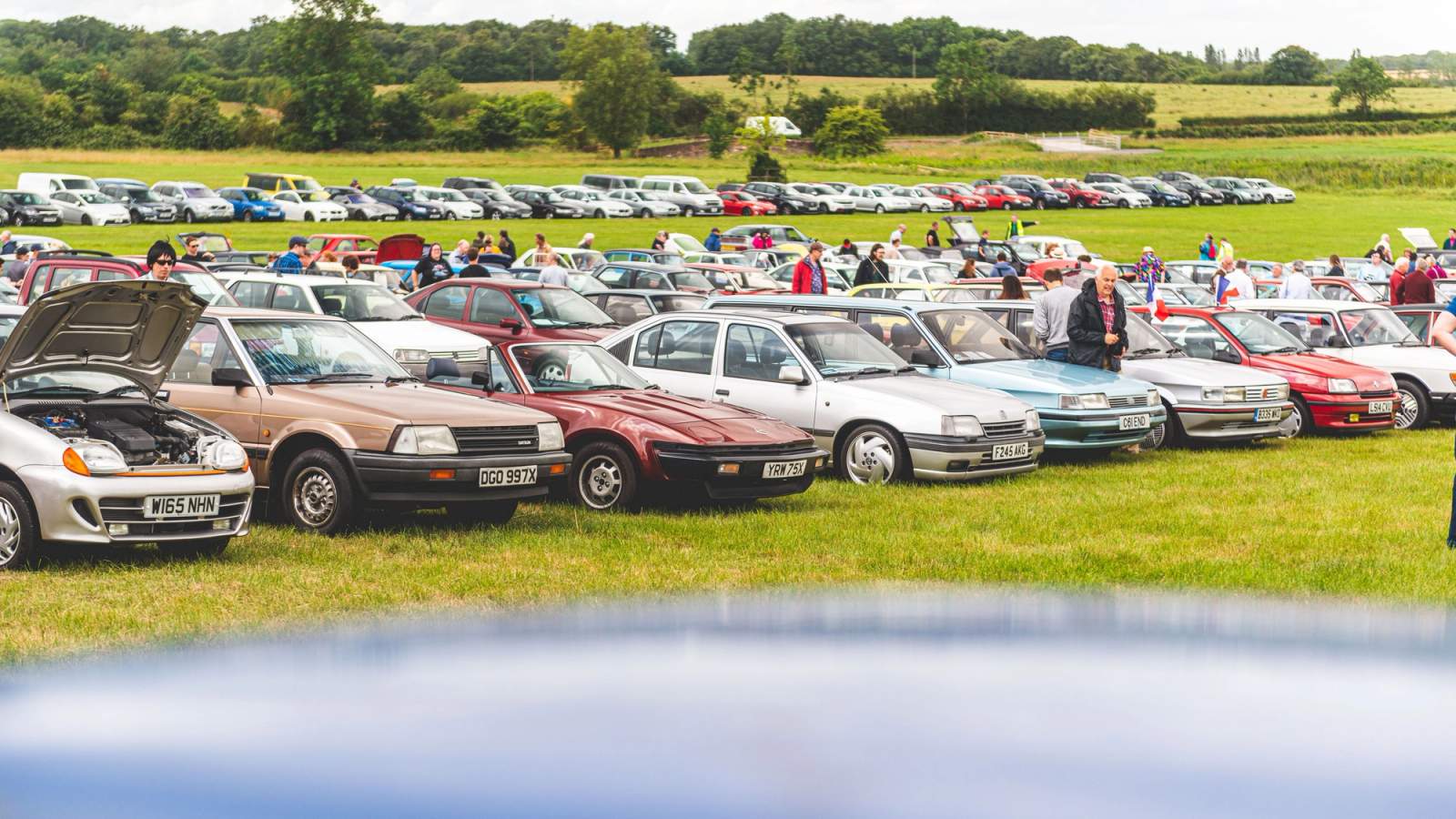 Modern classics lined up in a field for Festival of the Unexceptional car show