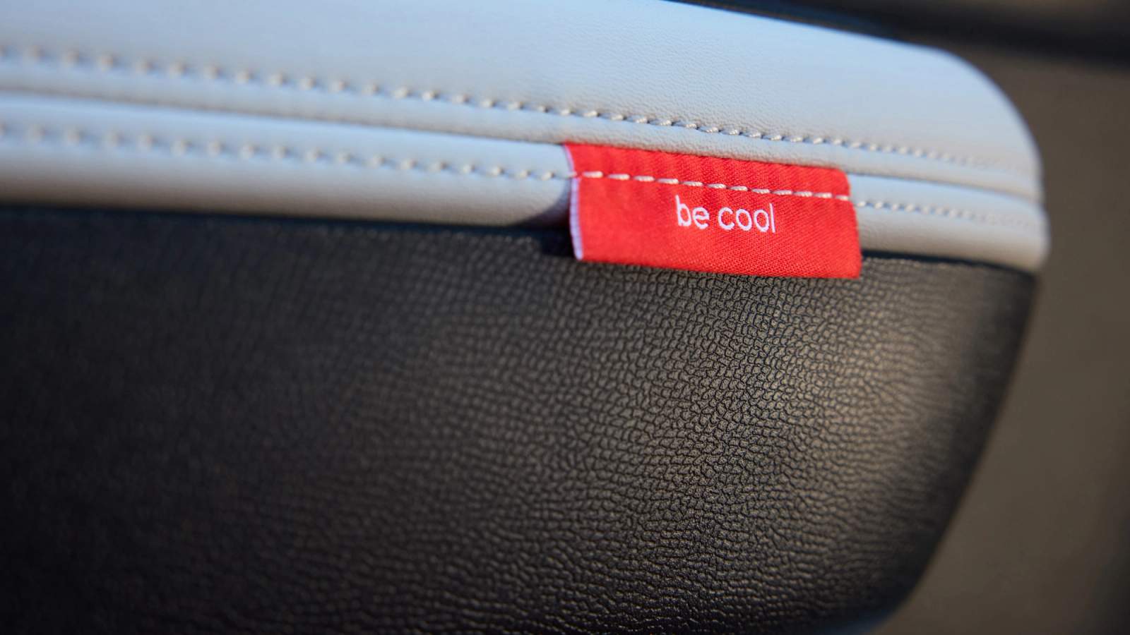 Citroen e-C3 interior messages