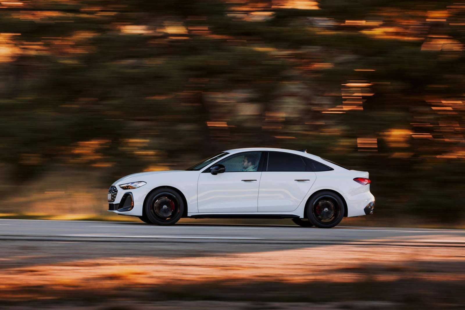 white audi 