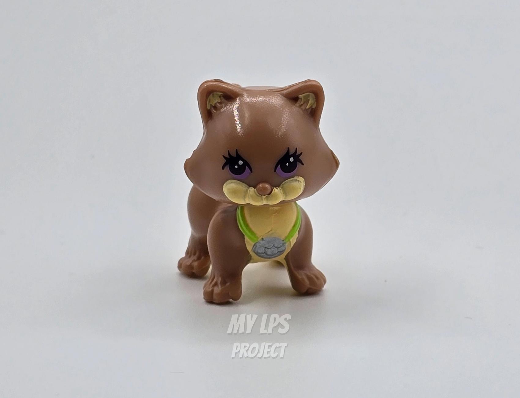 Brown Charming Kitty