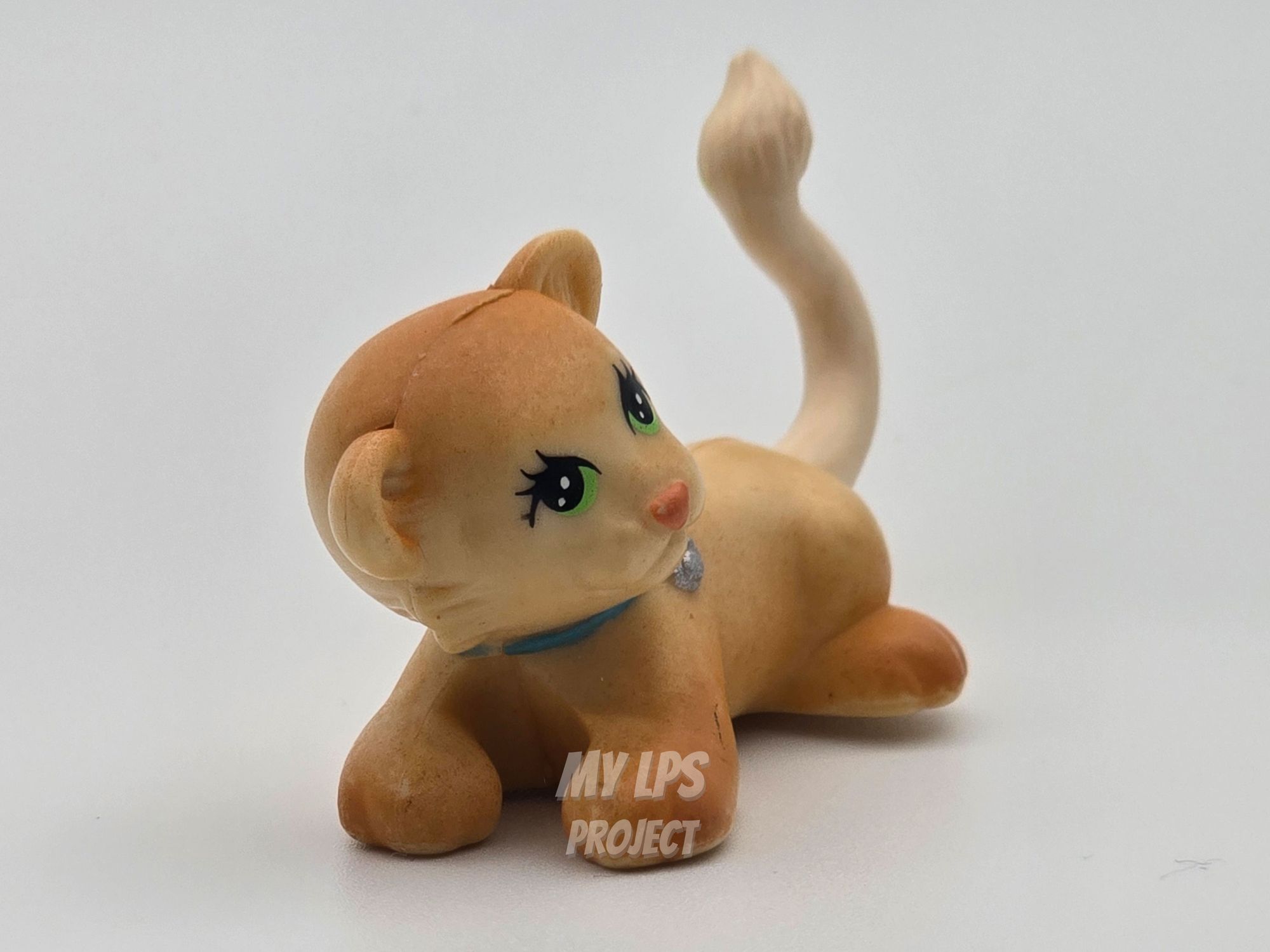 Detailed view of Lion cub