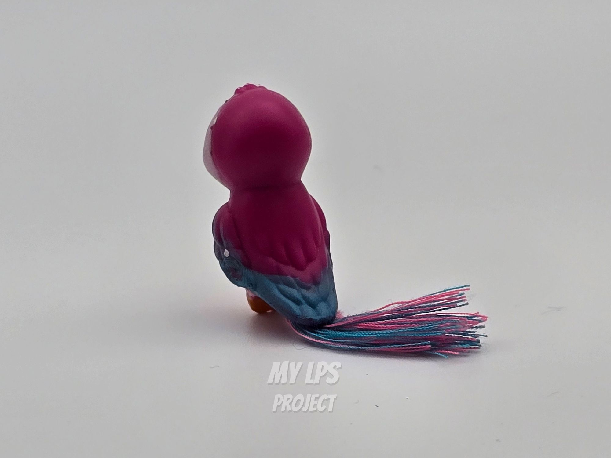 Detailed view of Macaw
