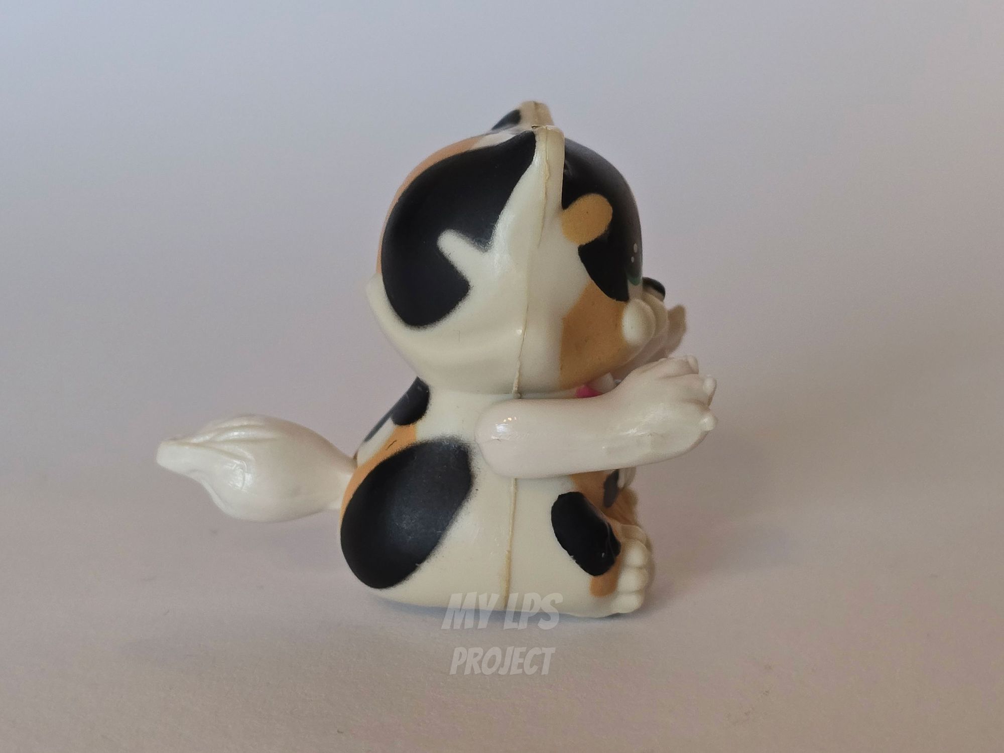 Detailed view of Spotted Charming Kitty