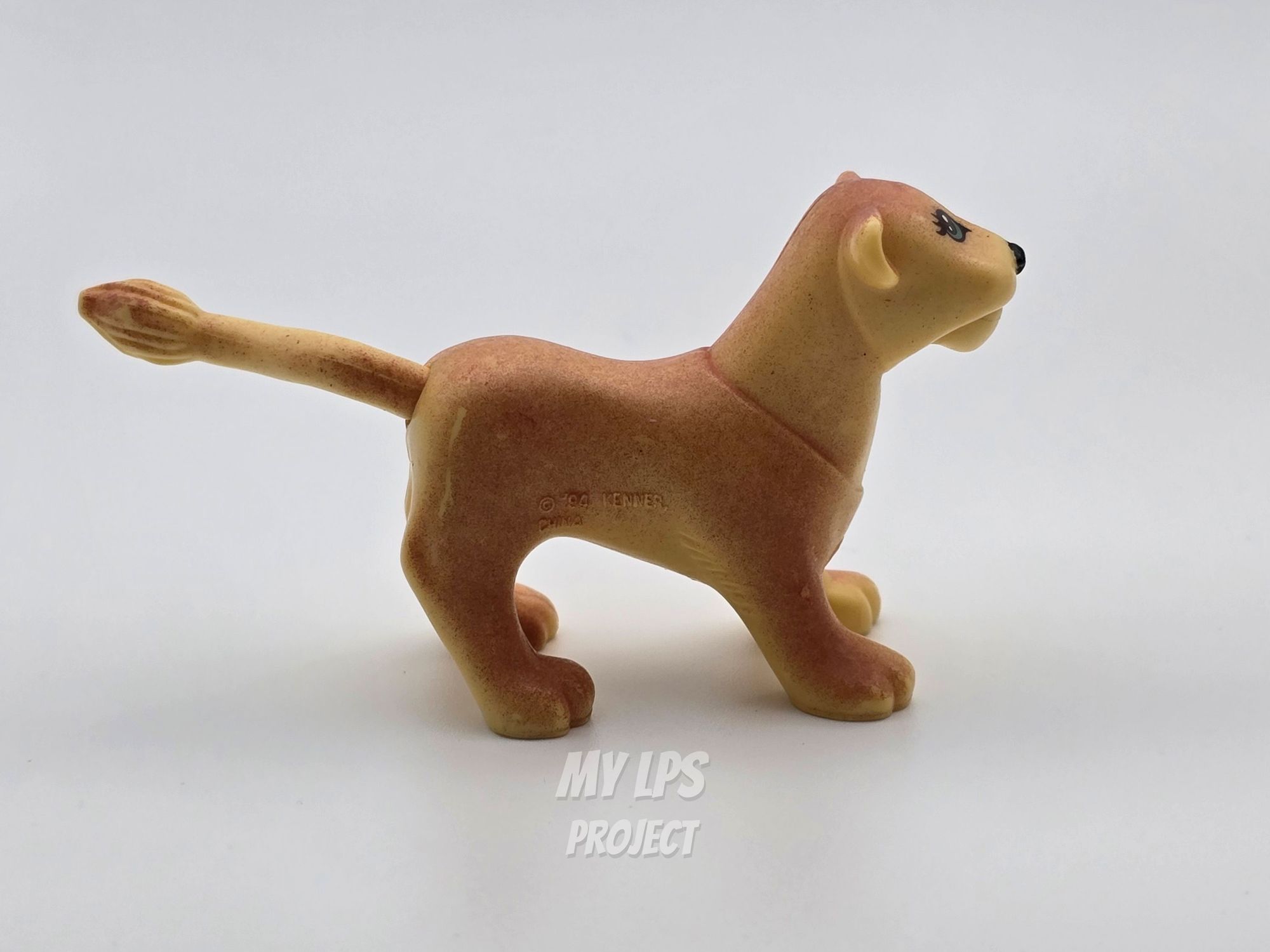Detailed view of Lioness mommy